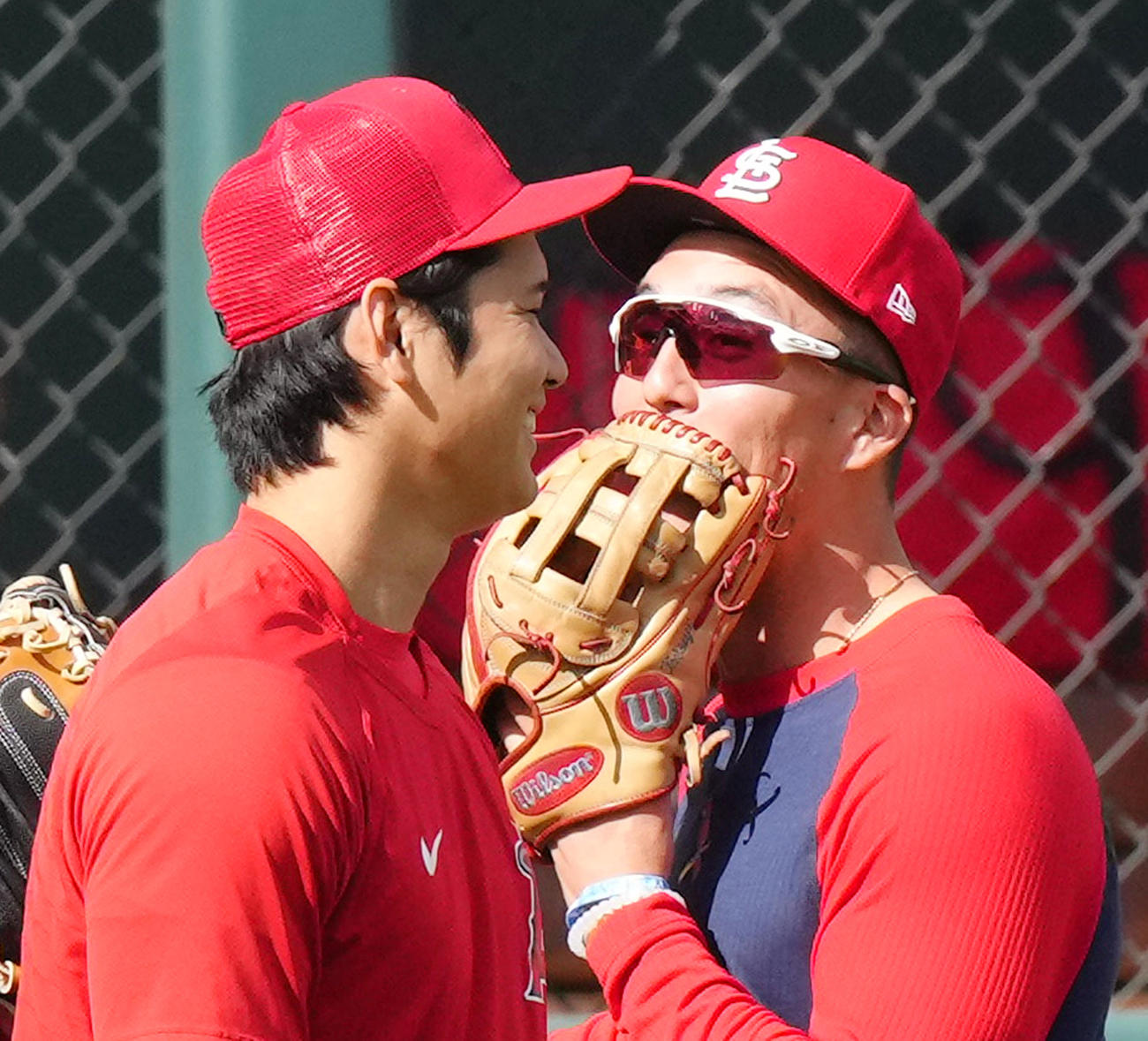 23年5月2日　カージナルス対エンゼルス　試合前、カージナルス・ヌートバー（右）と談笑するエンゼルス大谷（2023年5月2日撮影）