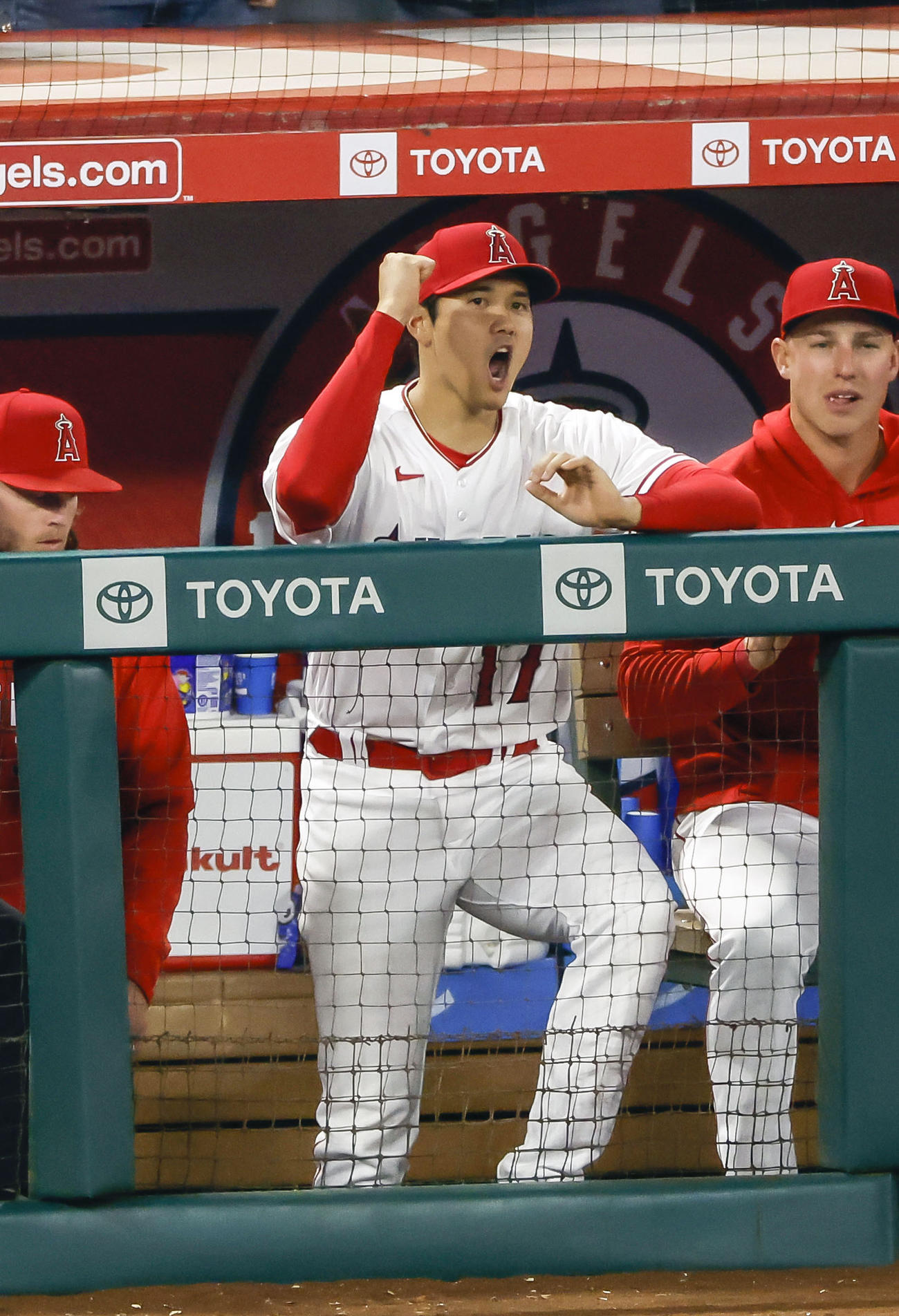 アストロズに勝利し、ベンチでガッツポーズするエンゼルス・大谷＝アナハイム（共同）