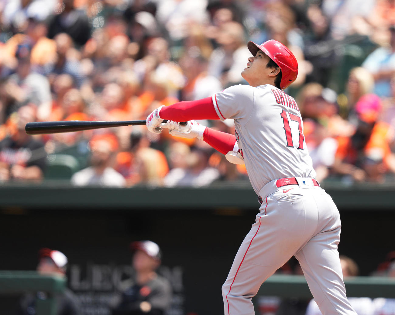 オリオールズ対エンゼルス　3回表エンゼルス1死、左飛に倒れる大谷（撮影・菅敏）