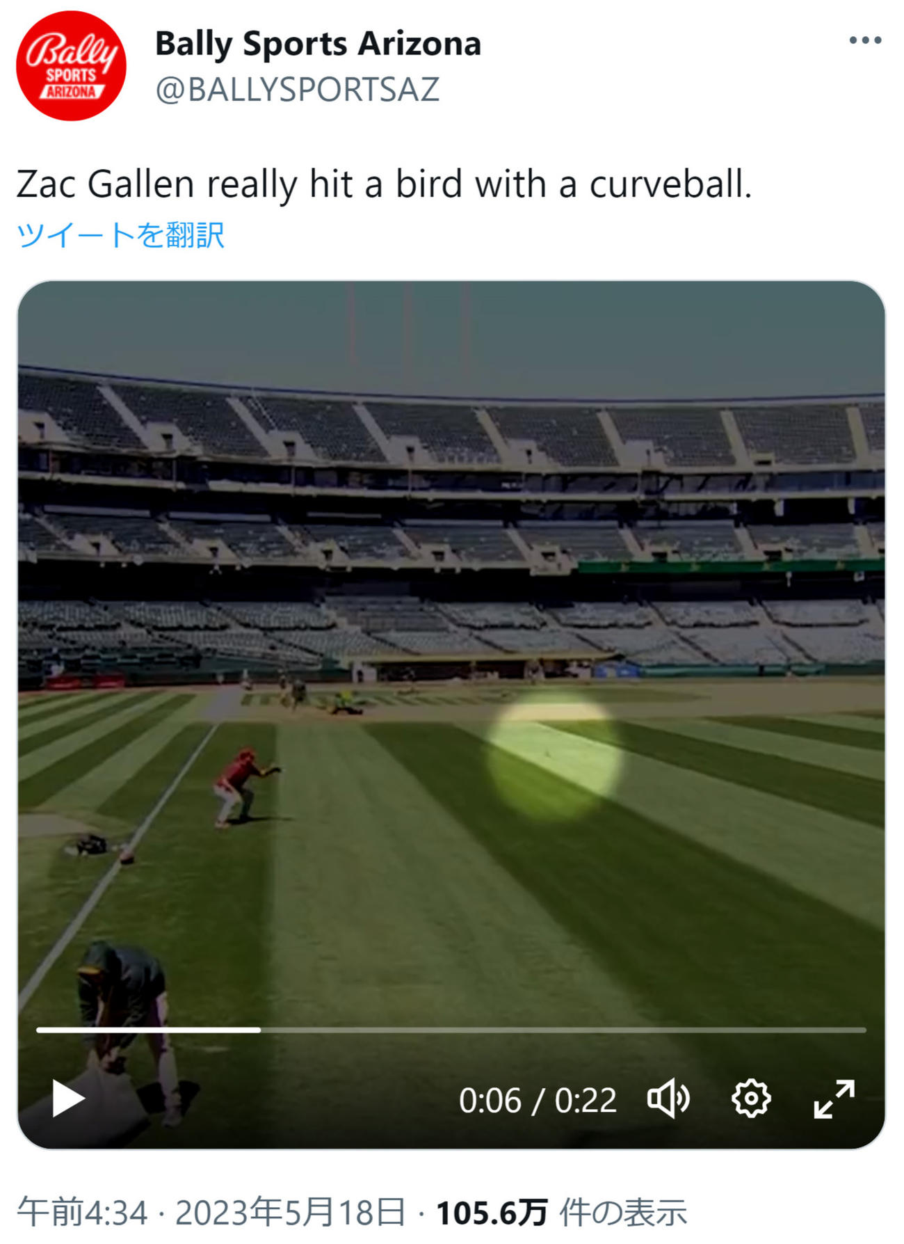 ダイヤモンドバックス、ザック・ゲーレンの投げた球に鳥が激突（Bally Sports ArizonaのTwitterから）