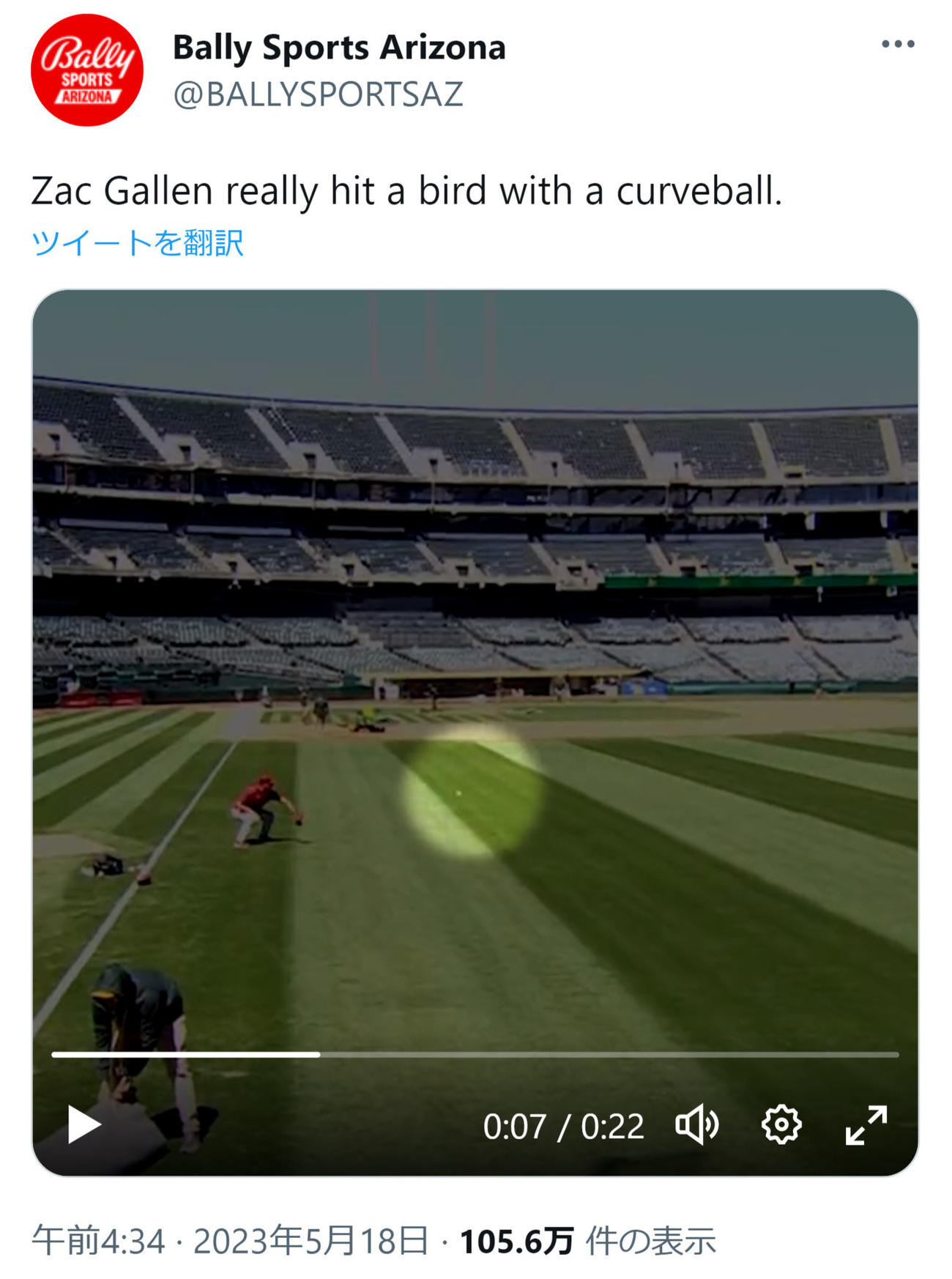 ダイヤモンドバックス、ザック・ゲーレンの投げた球に鳥が激突（Bally Sports ArizonaのTwitterから）