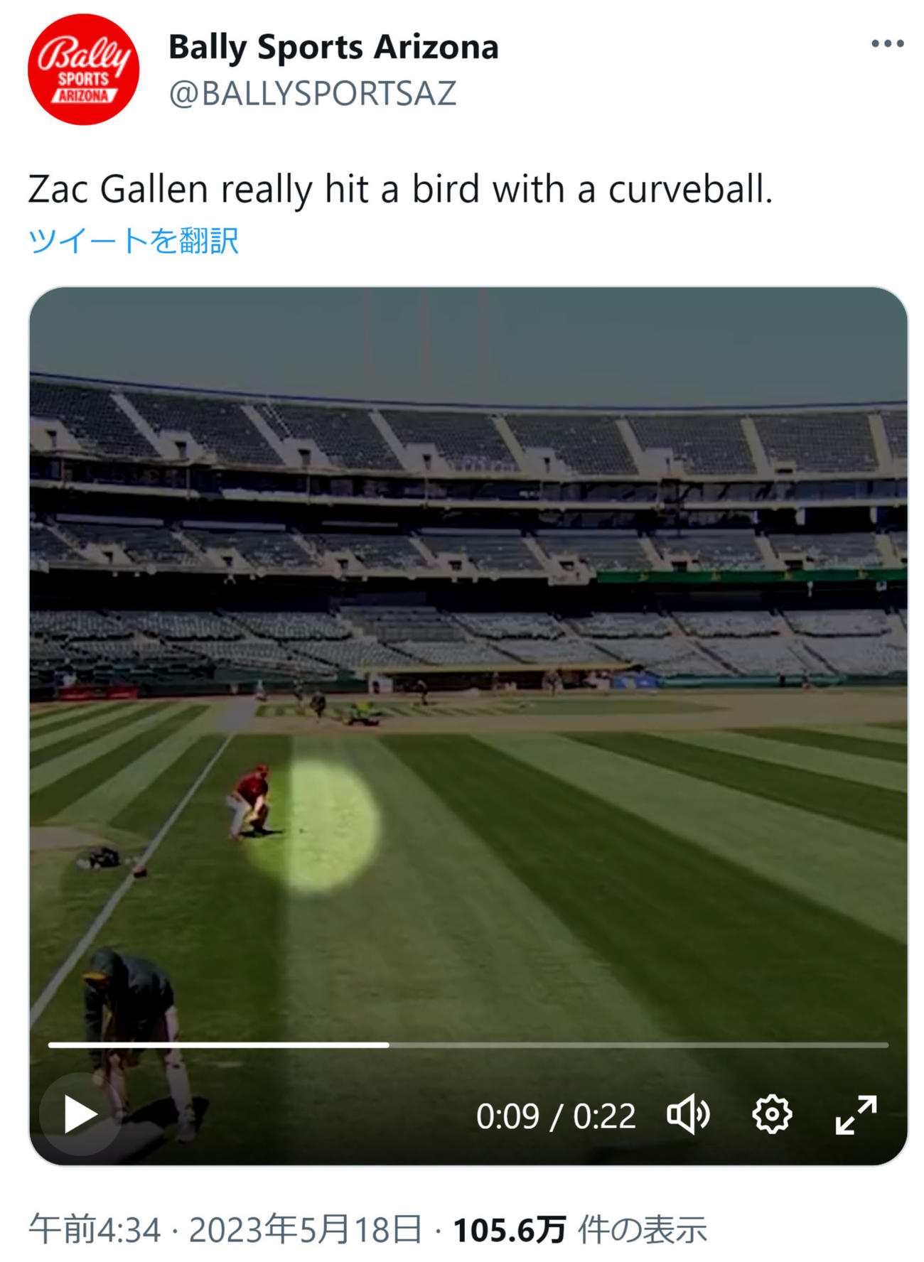 ダイヤモンドバックス、ザック・ゲーレンの投げた球に鳥が激突（Bally Sports ArizonaのTwitterから）