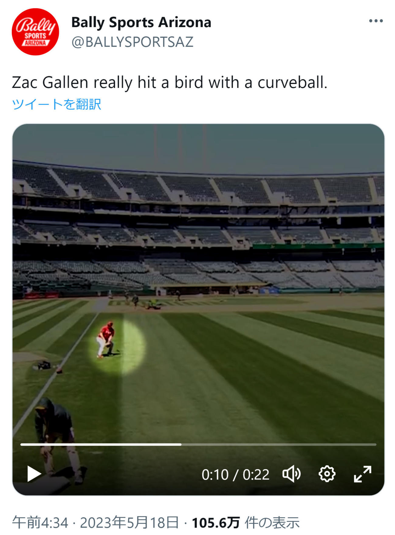 ダイヤモンドバックス、ザック・ゲーレンの投げた球に鳥が激突（Bally Sports ArizonaのTwitterから）