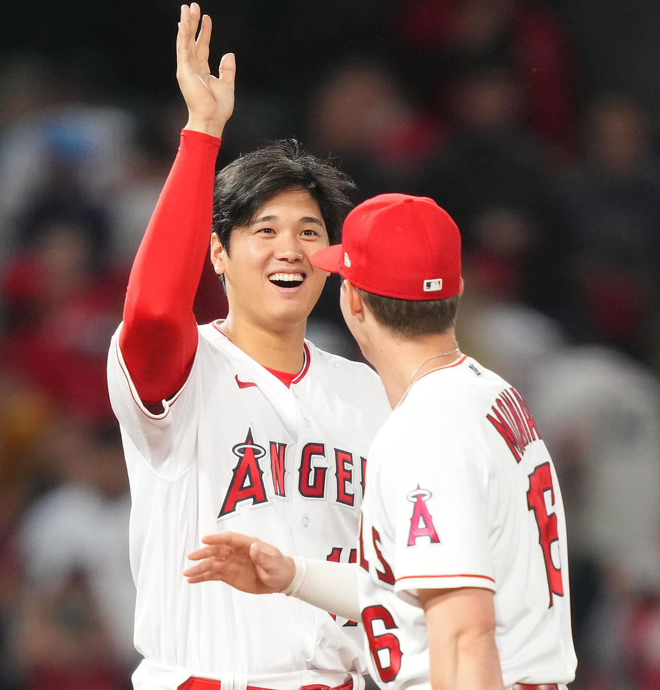 レッドソックスに勝利し、モニアク（右）をタッチで迎える大谷（撮影・菅敏）