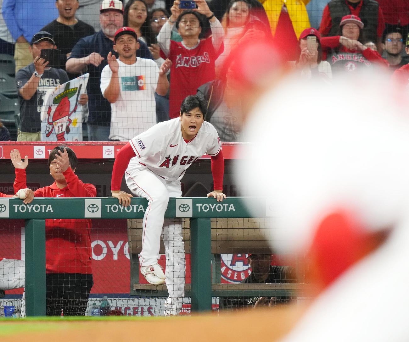 レッドソックスに勝利し、フェンスを乗り越えフィールドに向かうエンゼルス大谷（中央）（撮影・菅敏）