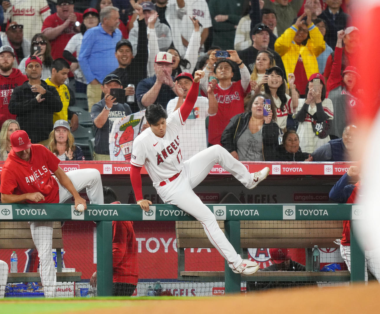 レッドソックスに勝利し、フェンスを乗り越えフィールドに向かうエンゼルス大谷（中央）（撮影・菅敏）