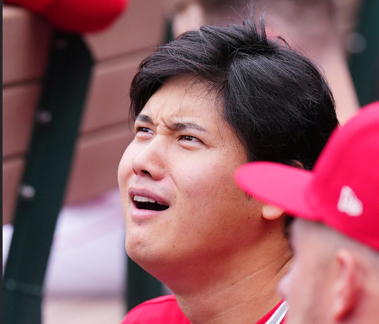 エンゼルス対マーリンズ　試合中、ベンチでナインと話すエンゼルス大谷（撮影・菅敏）