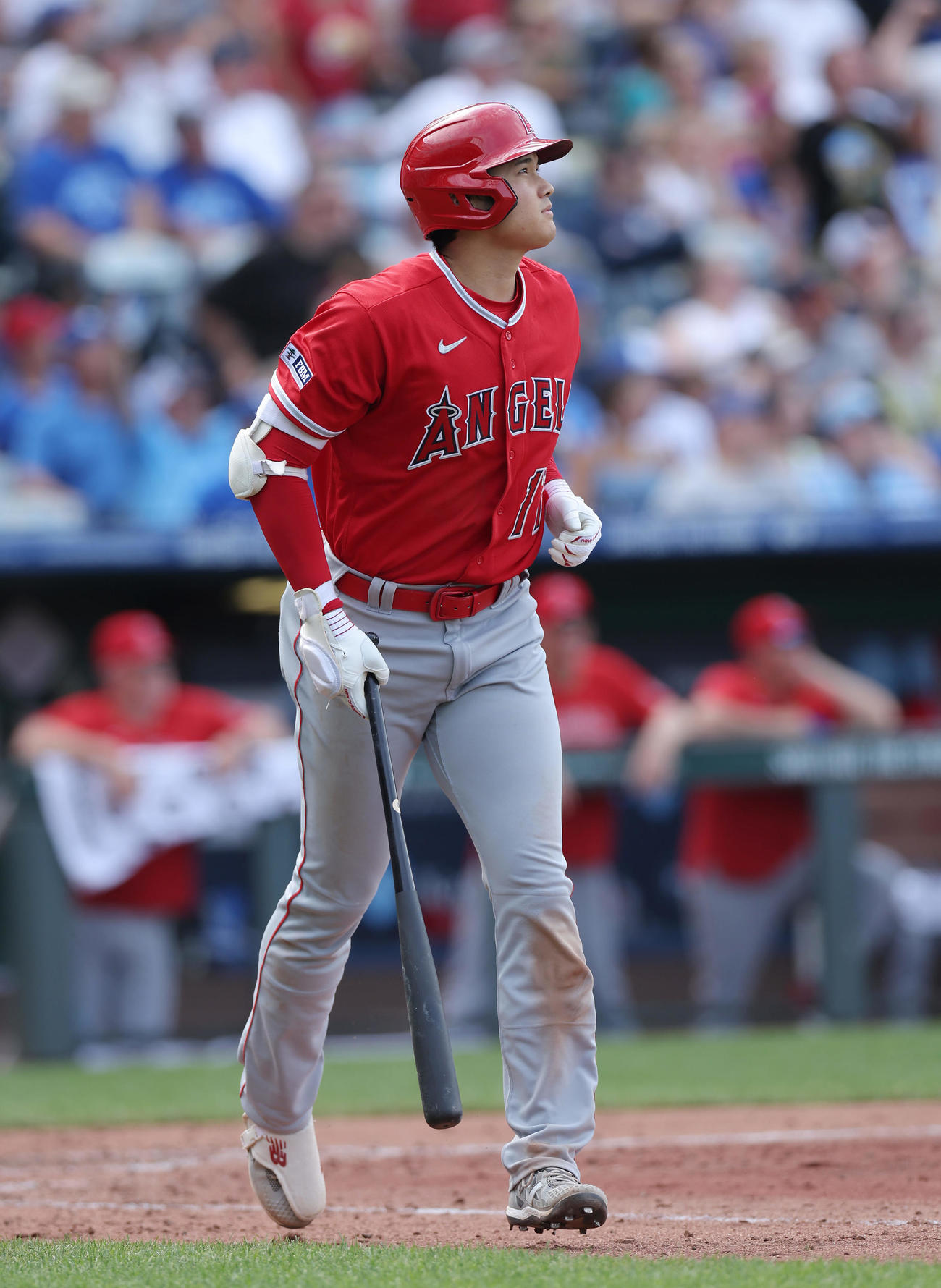 ロイヤルズ対エンゼルス　7回表エンゼルス1死、メジャー通算150号となる中越え本塁打を放つ大谷（撮影・前田充）
