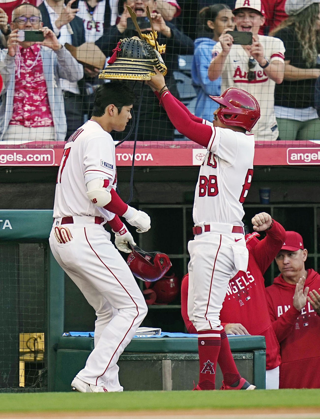 ホワイトソックス戦の4回に26号ソロを放ち、かぶとをかぶせてもらうエンゼルス・大谷翔平（共同）