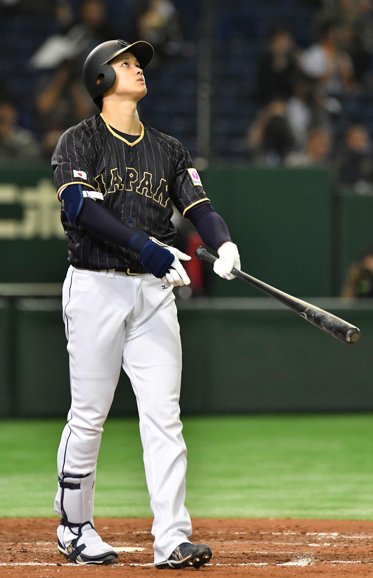 日本対オランダ　7回表日本無死、大谷の放った打球は1度は本塁打と判定されるが、天井に当たったため協議の末右二塁打となる（2016年11月13日撮影）