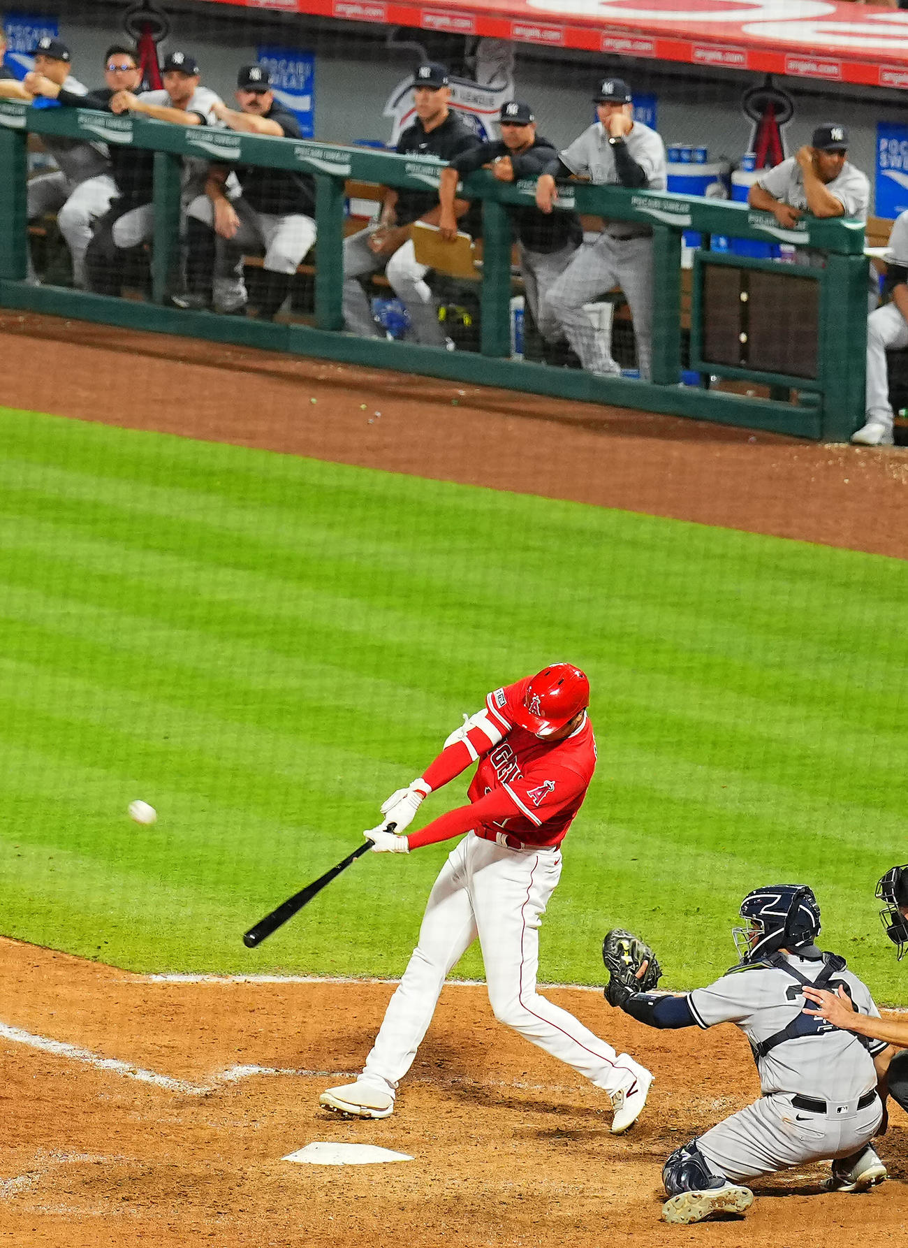 エンゼルス対ヤンキース　7回裏エンゼルス2死一塁、2点本塁打を放ち豪快にバットを放り投げる大谷（撮影・垰建太）