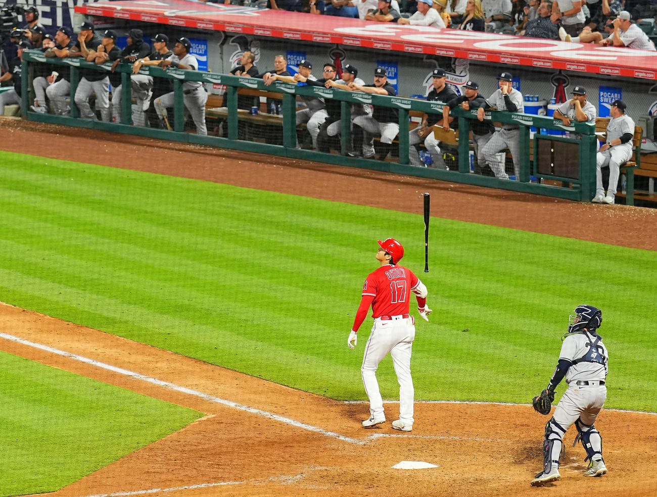 エンゼルス対ヤンキース　7回裏エンゼルス2死一塁、2点本塁打を放ち豪快にバットを放り投げる大谷（撮影・垰建太）