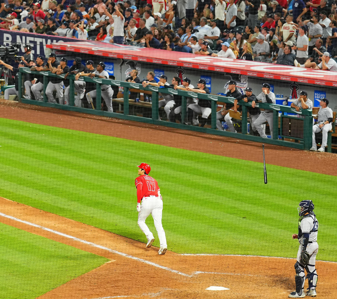 エンゼルス対ヤンキース　7回裏エンゼルス2死一塁、2点本塁打を放ち豪快にバットを放り投げる大谷（撮影・垰建太）