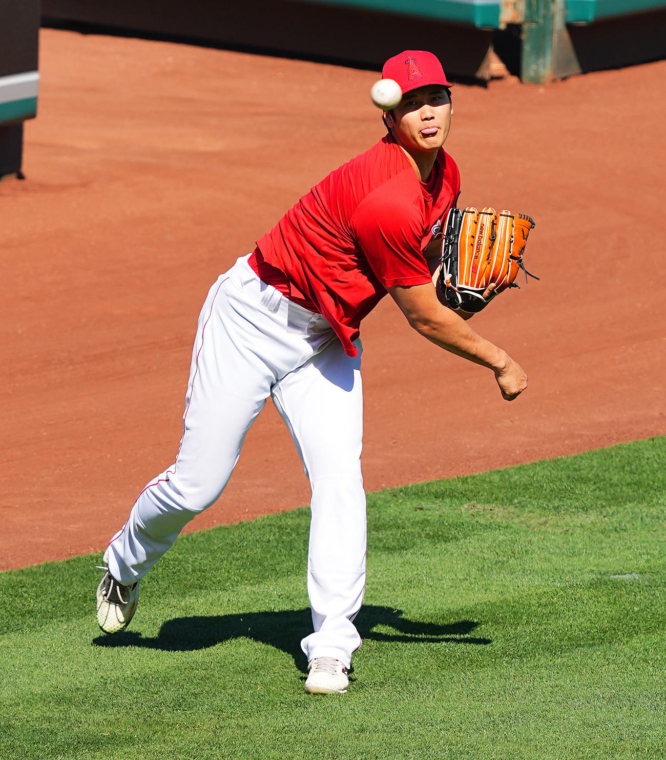 エンゼルス対ヤンキース　試合前投球練習を行うエンゼルス大谷（撮影・垰建太）