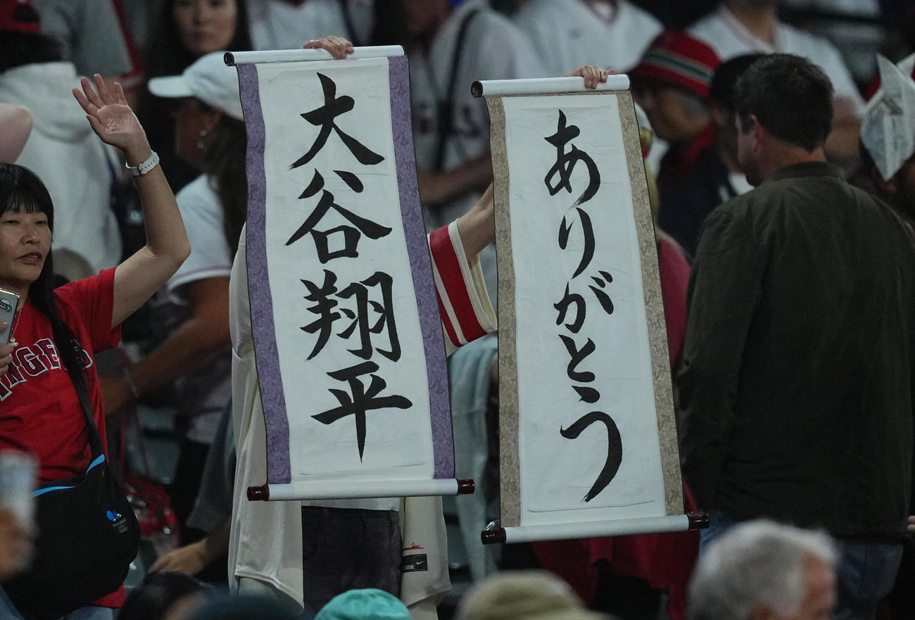 エンゼルス対ジャイアンツ　エンゼルス大谷の10勝目を祝うファン（撮影・垰建太）