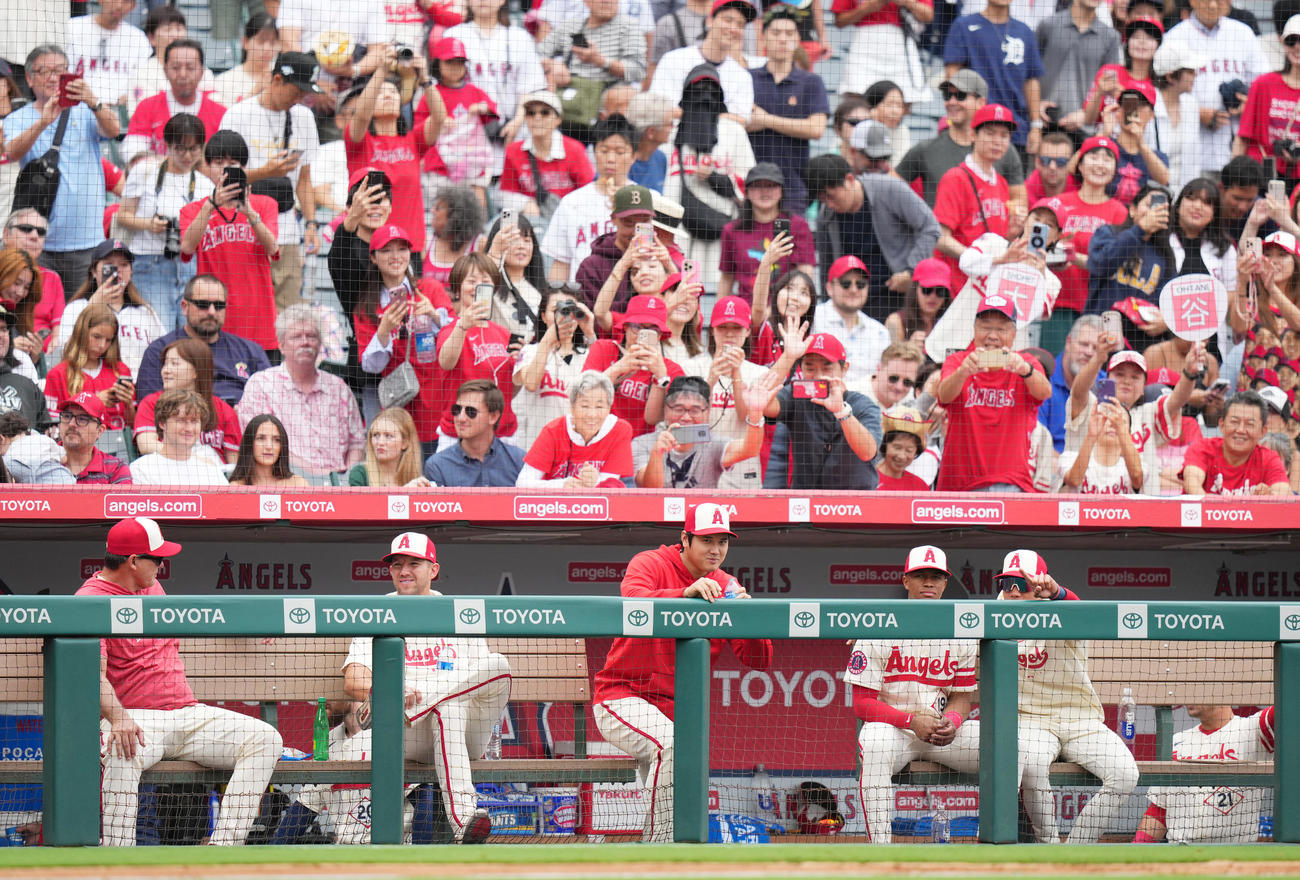 エンゼルス対タイガース　試合中、大勢のファンから声をかけられ照れ笑いを浮かべるエンゼルス大谷（中央）（撮影・菅敏）