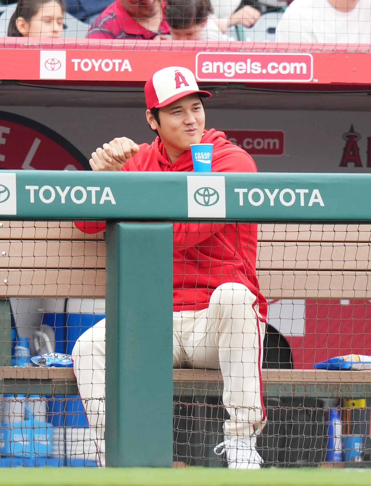 エンゼルス対タイガース　試合中、一塁ベンチのタイガース・カブレラとジェスチャーを交えて会話するエンゼルス大谷（撮影・菅敏）