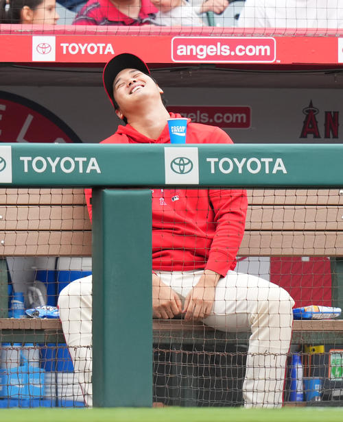 エンゼルス対タイガース　試合中、一塁ベンチのタイガース・カブレラとジェスチャーを交えて会話するエンゼルス大谷（撮影・菅敏）