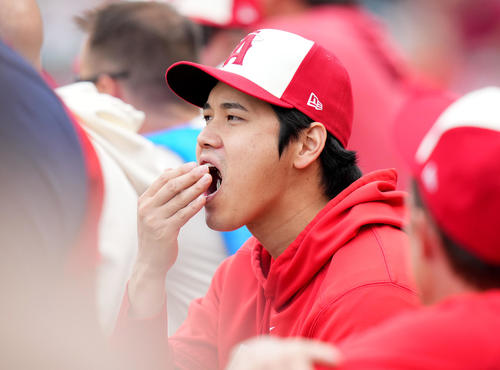 エンゼルス対タイガース　ベンチに姿を現し、ひまわりの種を食べるエンゼルス大谷（撮影・菅敏）