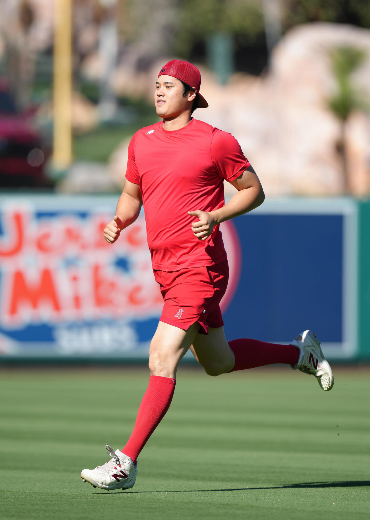 エンゼルス対ガーディアンズ　試合前、フィールドで体を動かすエンゼルス大谷（撮影・菅敏）