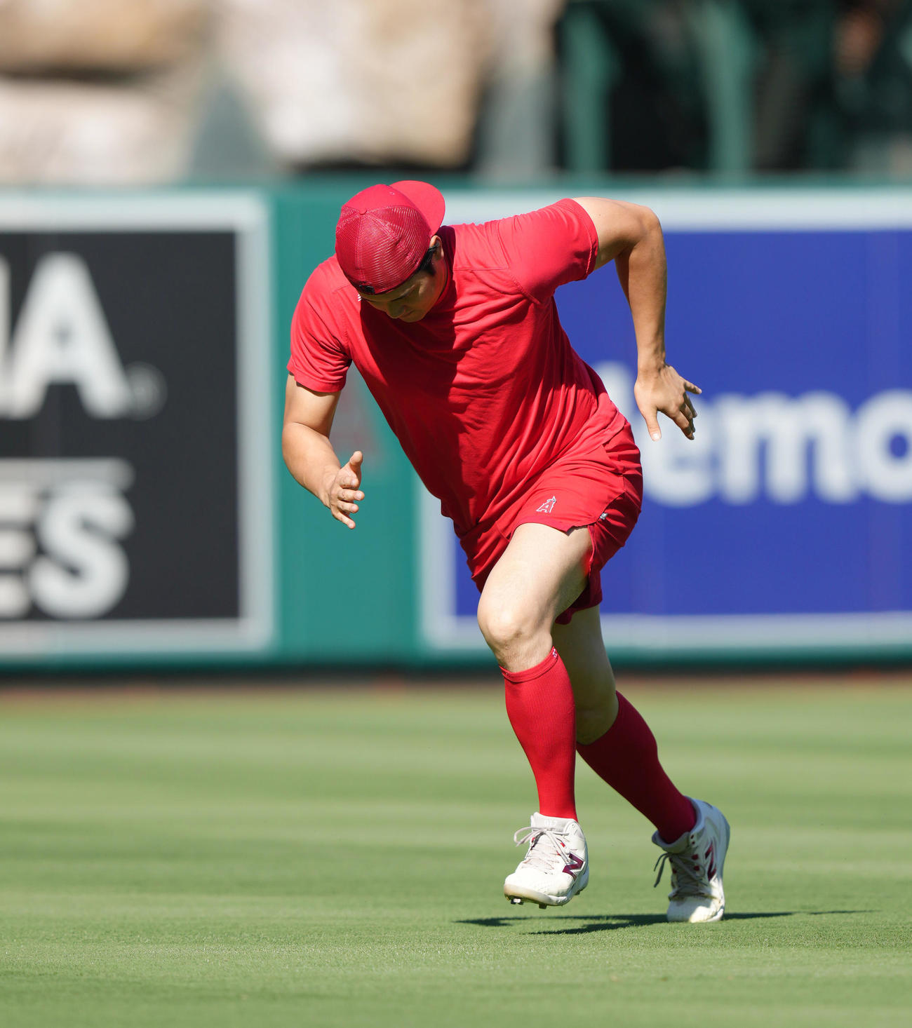 エンゼルス対ガーディアンズ　試合前、フィールドで体を動かすエンゼルス大谷（撮影・菅敏）