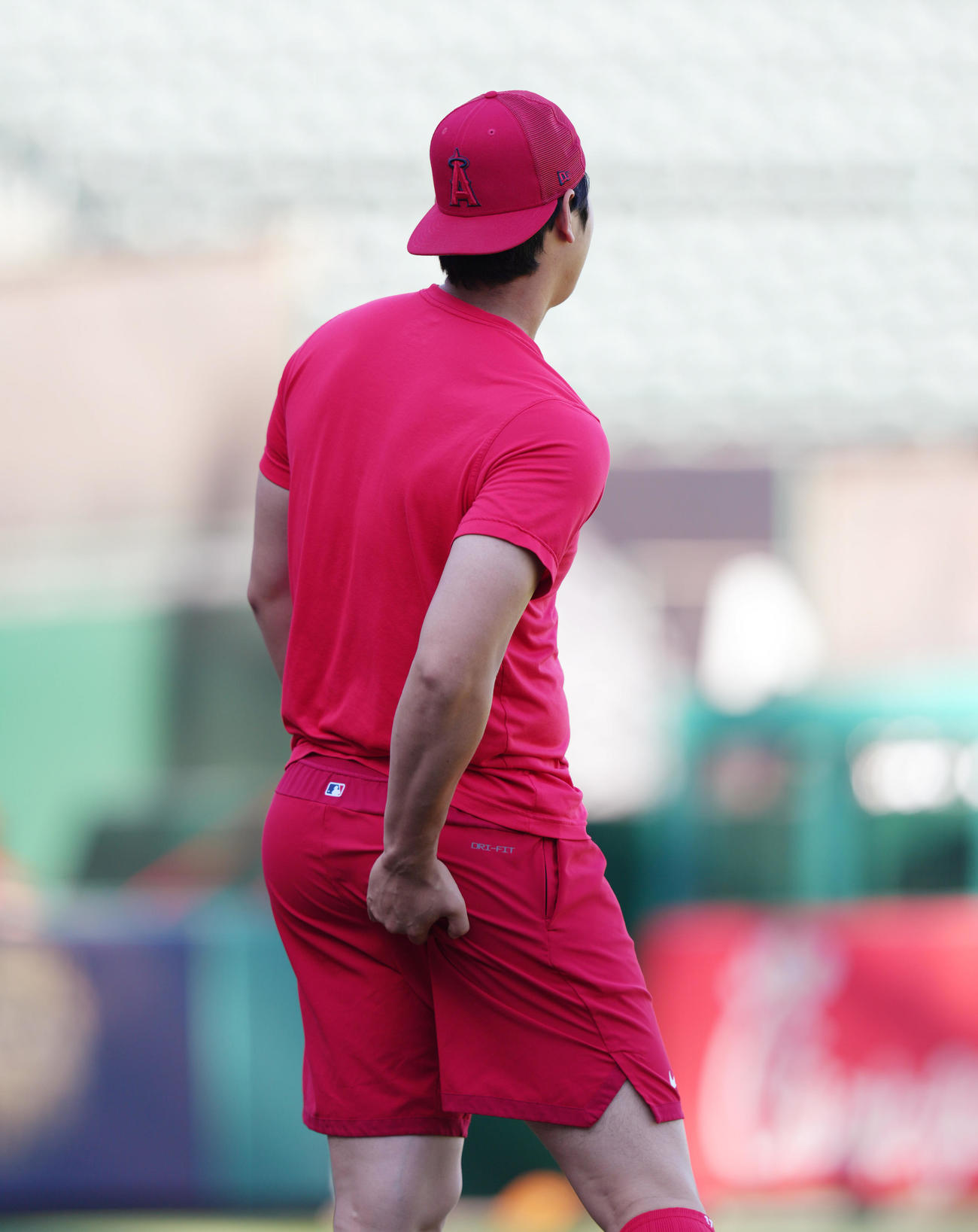 エンゼルス対ガーディアンズ　試合前、フィールドで体を動かすエンゼルス大谷は、筋肉をほぐす（撮影・菅敏）