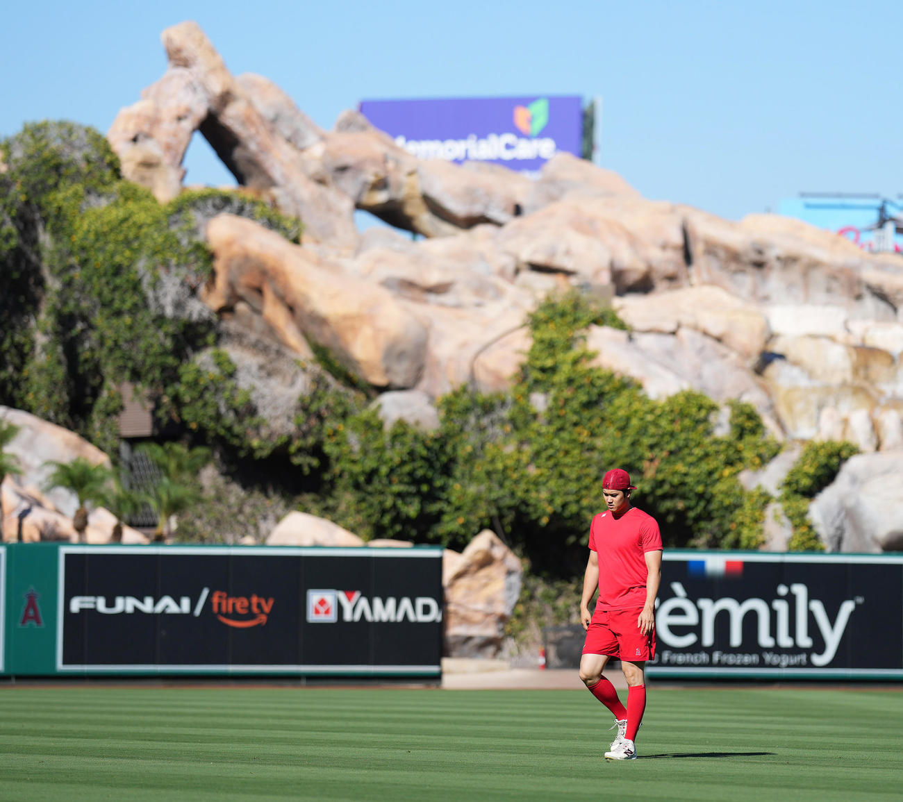 エンゼルス対ガーディアンズ　試合前、フィールドで体を動かすエンゼルス大谷は、厳しい表情を見せる（撮影・菅敏）