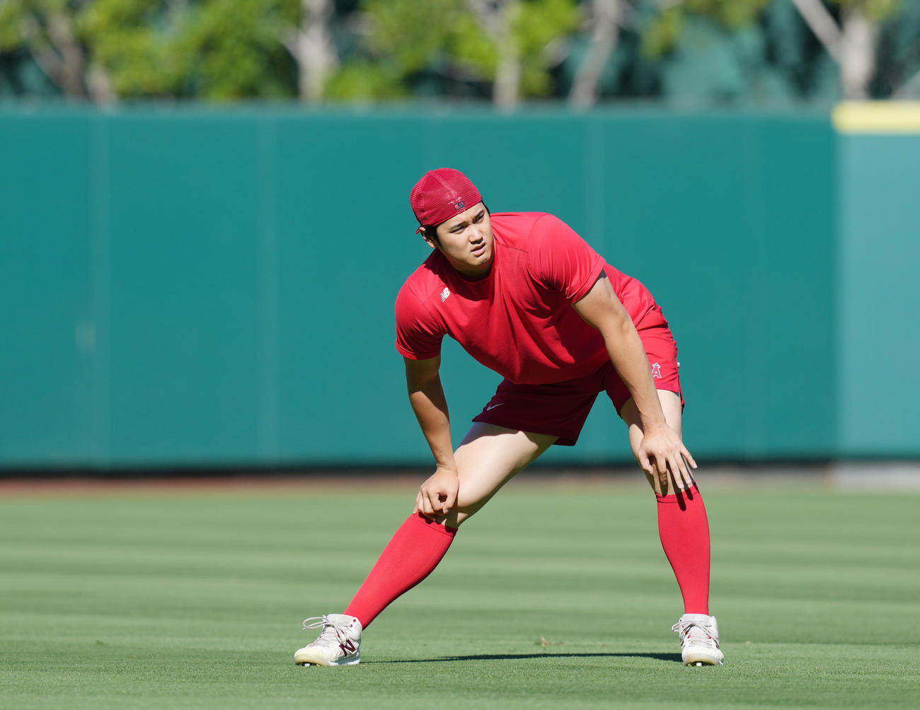 エンゼルス対ガーディアンズ　試合前、フィールドで体を動かすエンゼルス大谷（撮影・菅敏）