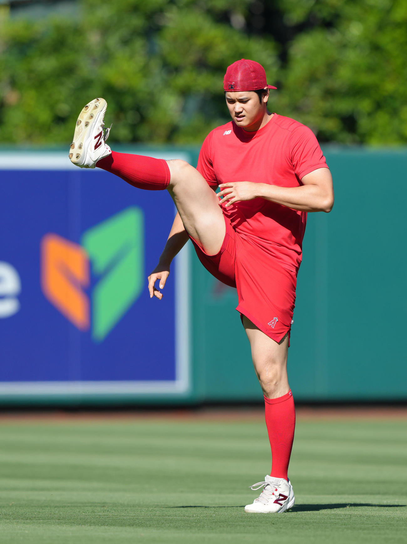 エンゼルス対ガーディアンズ　試合前、フィールドで体を動かすエンゼルス大谷（撮影・菅敏）