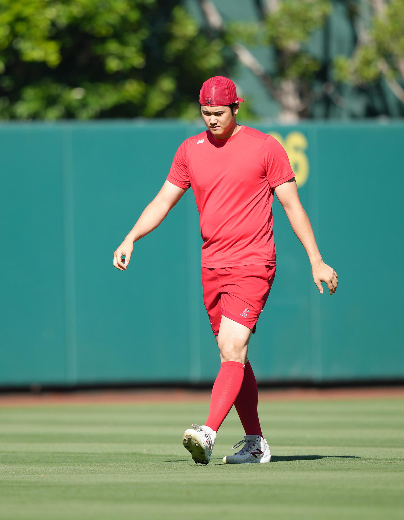 9月6日のエンゼルス対ガーディアンズ　試合前、フィールドで体を動かすエンゼルス大谷（撮影・菅敏）
