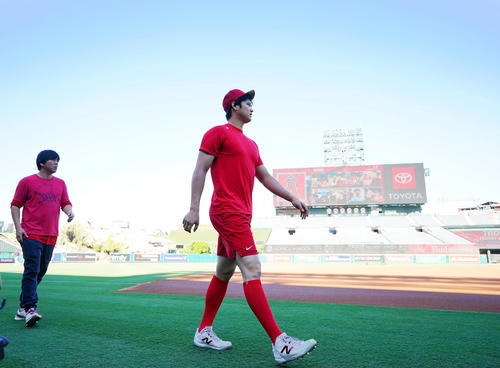 大谷翔平(2023年9月6日撮影)