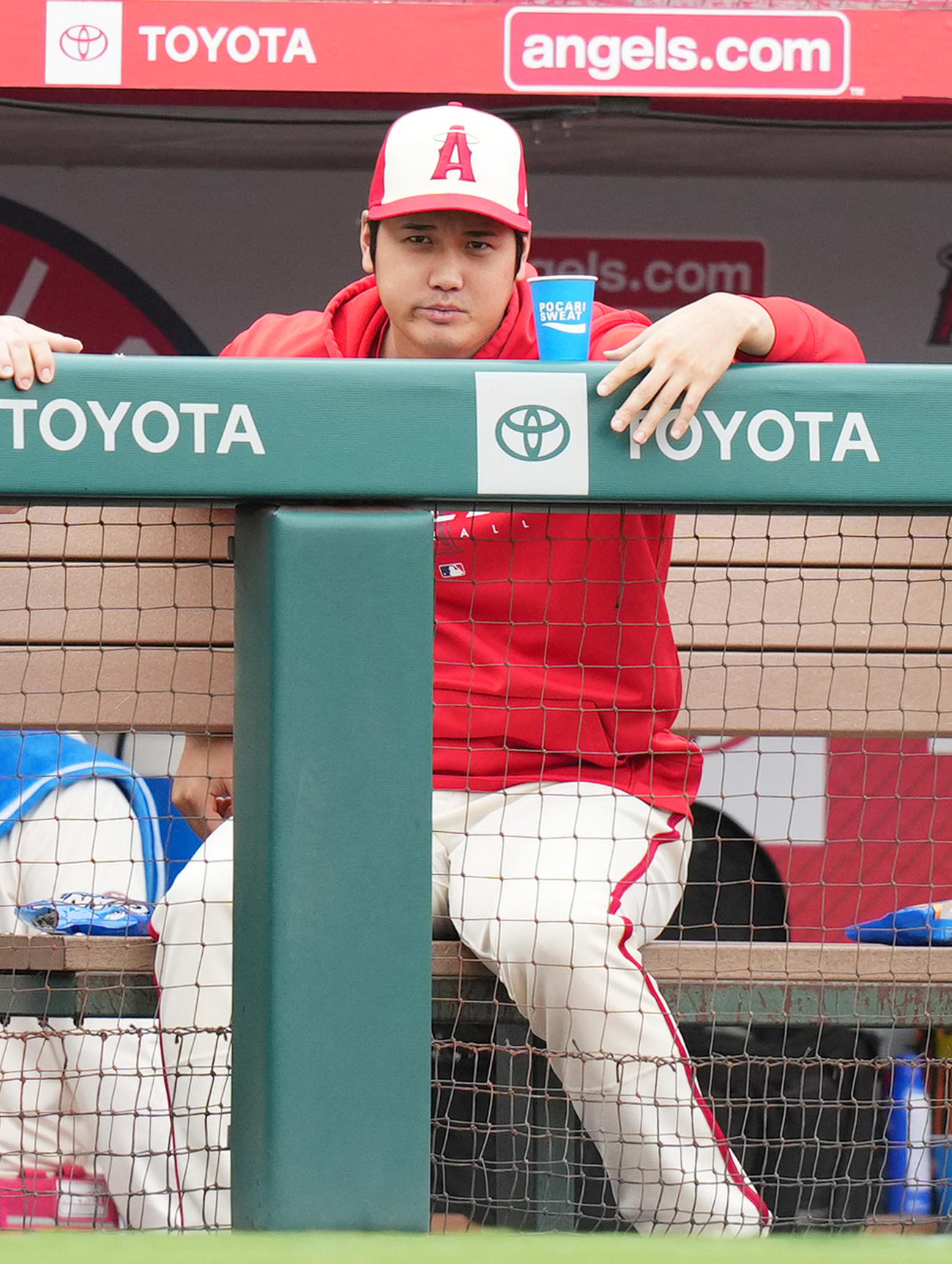 エンゼルス対タイガース　試合中、一塁ベンチのタイガース・カブレラと目が合うエンゼルス大谷（撮影・菅敏）