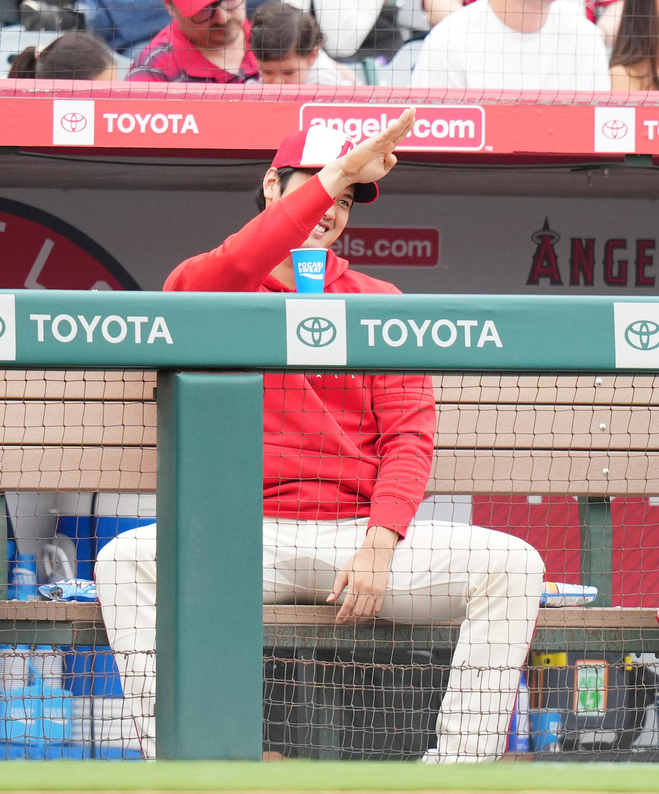 エンゼルス対タイガース　試合中、一塁ベンチのタイガース・カブレラとジェスチャーを交えて会話するエンゼルス大谷（撮影・菅敏）