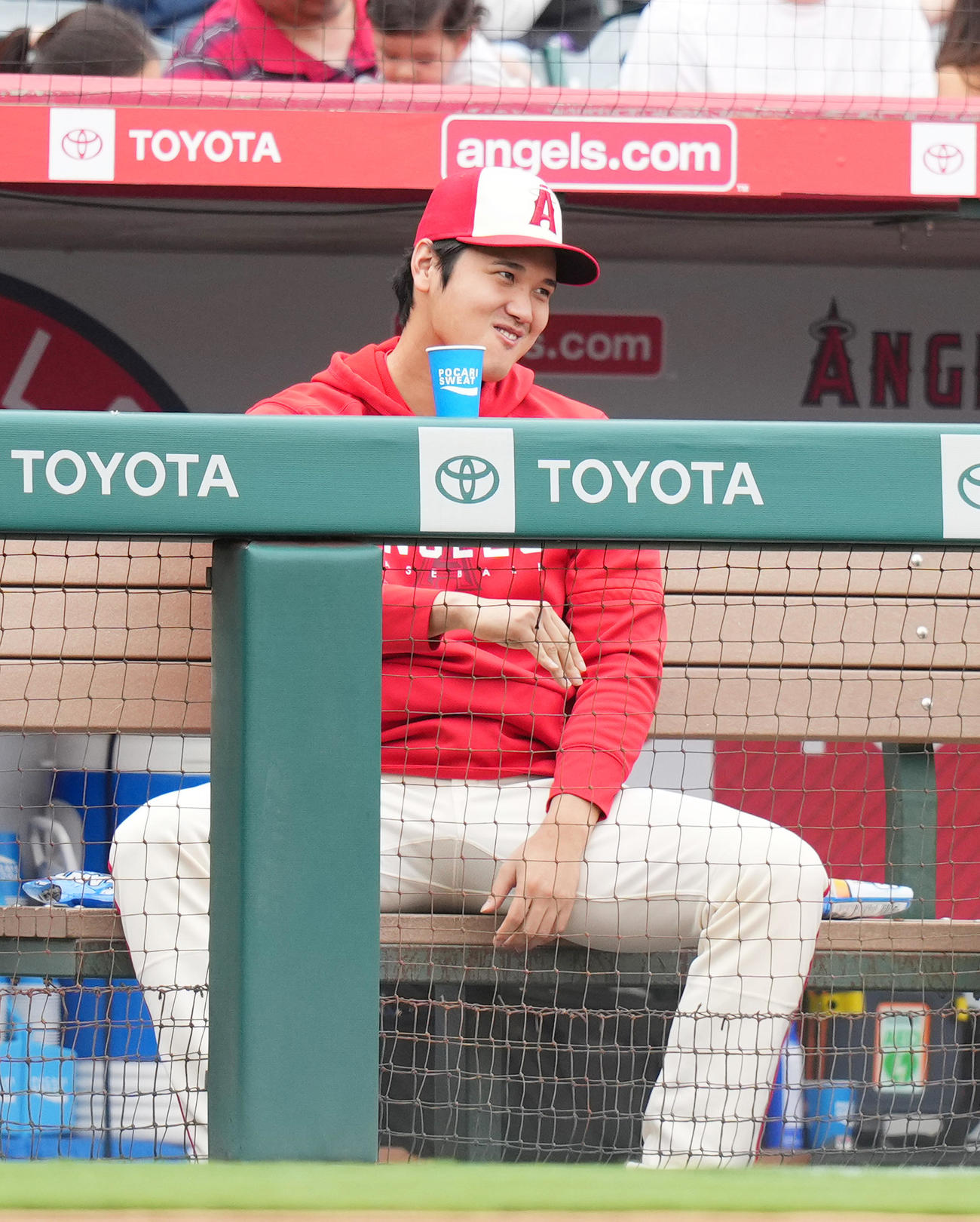エンゼルス対タイガース　試合中、一塁ベンチのタイガース・カブレラとジェスチャーを交えて会話するエンゼルス大谷（撮影・菅敏）