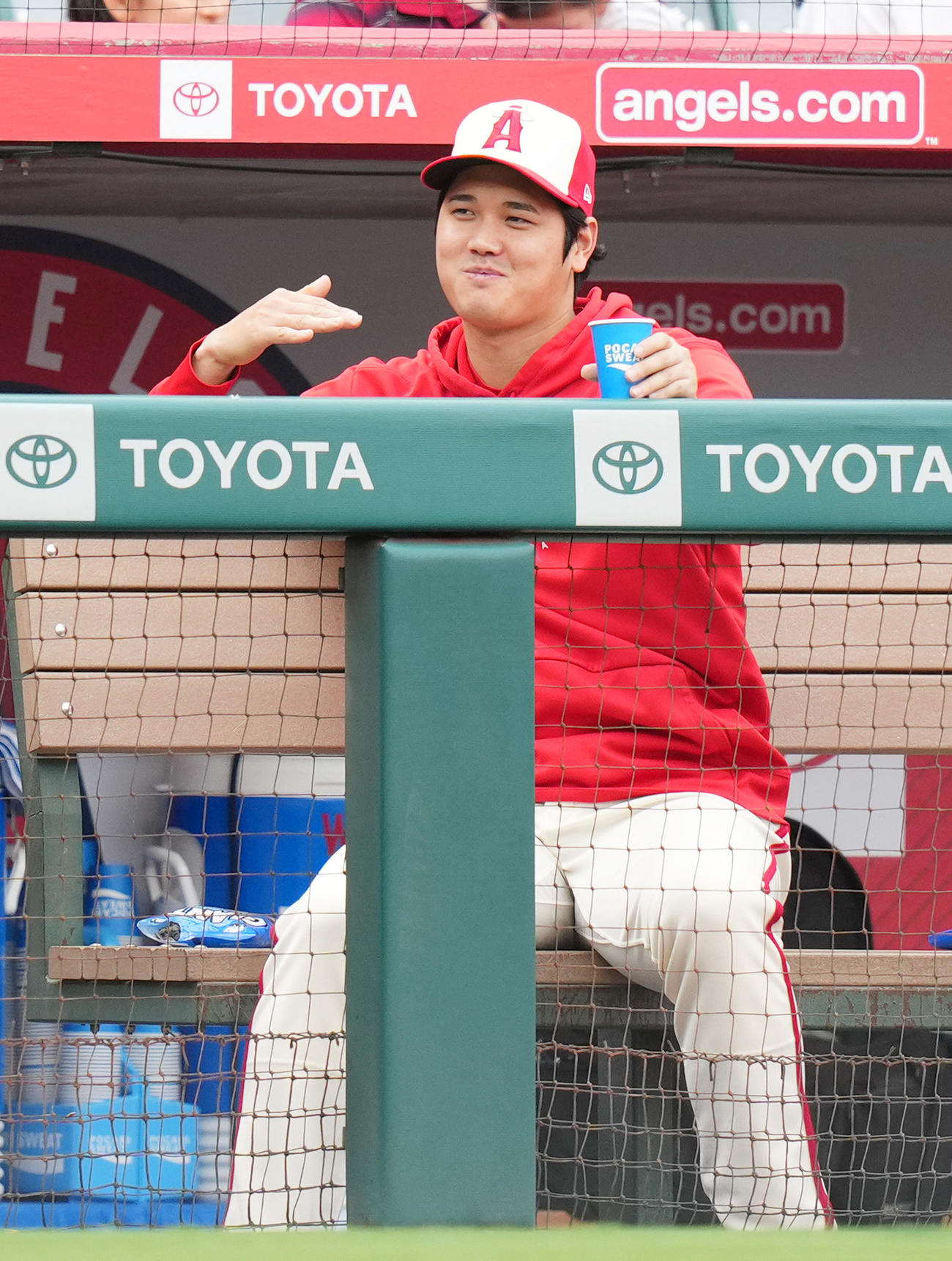 エンゼルス対タイガース　試合中、一塁ベンチのタイガース・カブレラとジェスチャーを交えて会話するエンゼルス大谷（撮影・菅敏）