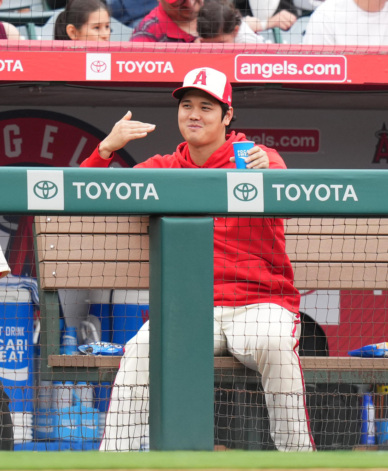 エンゼルス対タイガース　試合中、一塁ベンチのタイガース・カブレラとジェスチャーを交えて会話するエンゼルス大谷（撮影・菅敏）