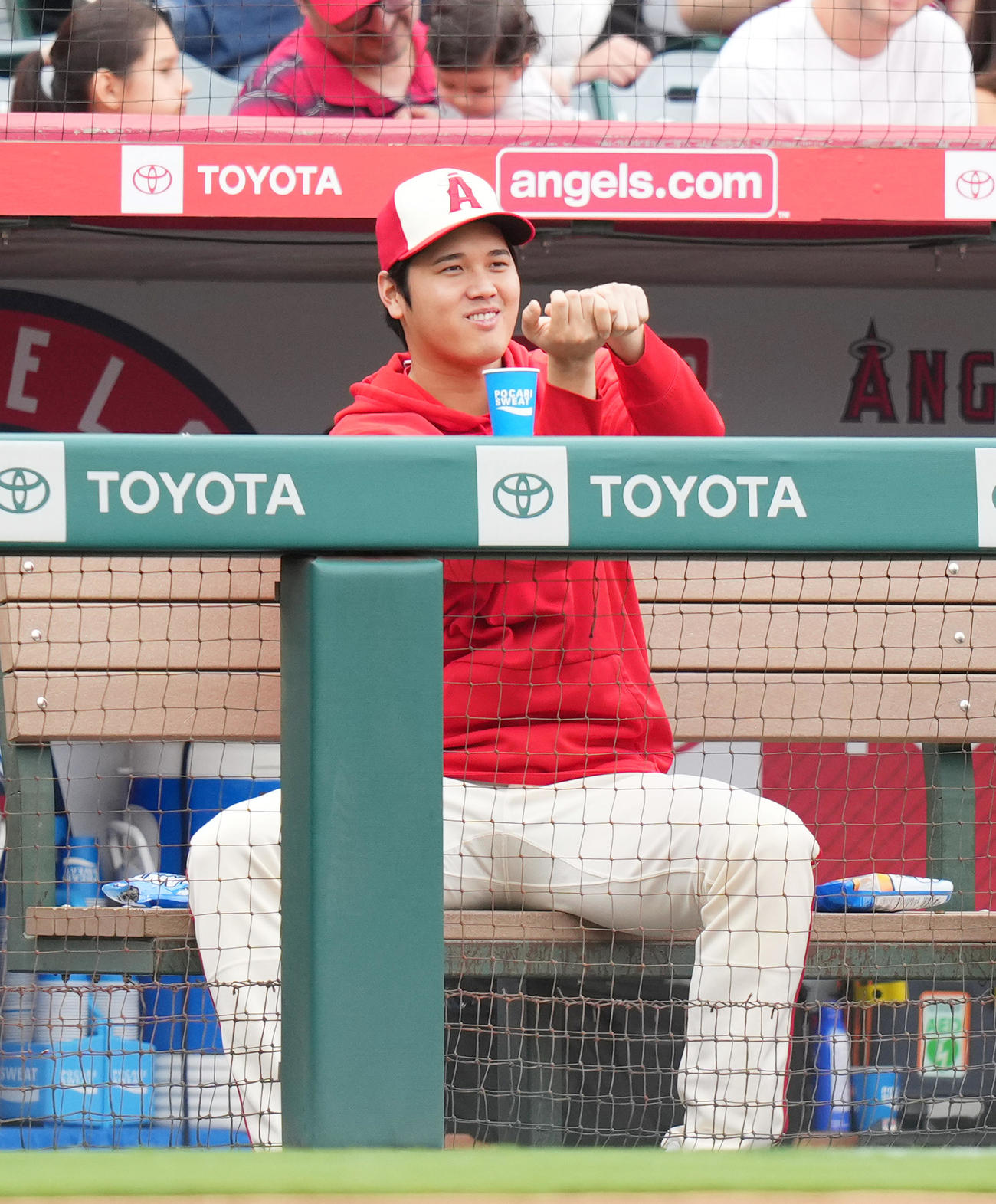 エンゼルス対タイガース　試合中、一塁ベンチのタイガース・カブレラとジェスチャーを交えて会話するエンゼルス大谷（撮影・菅敏）