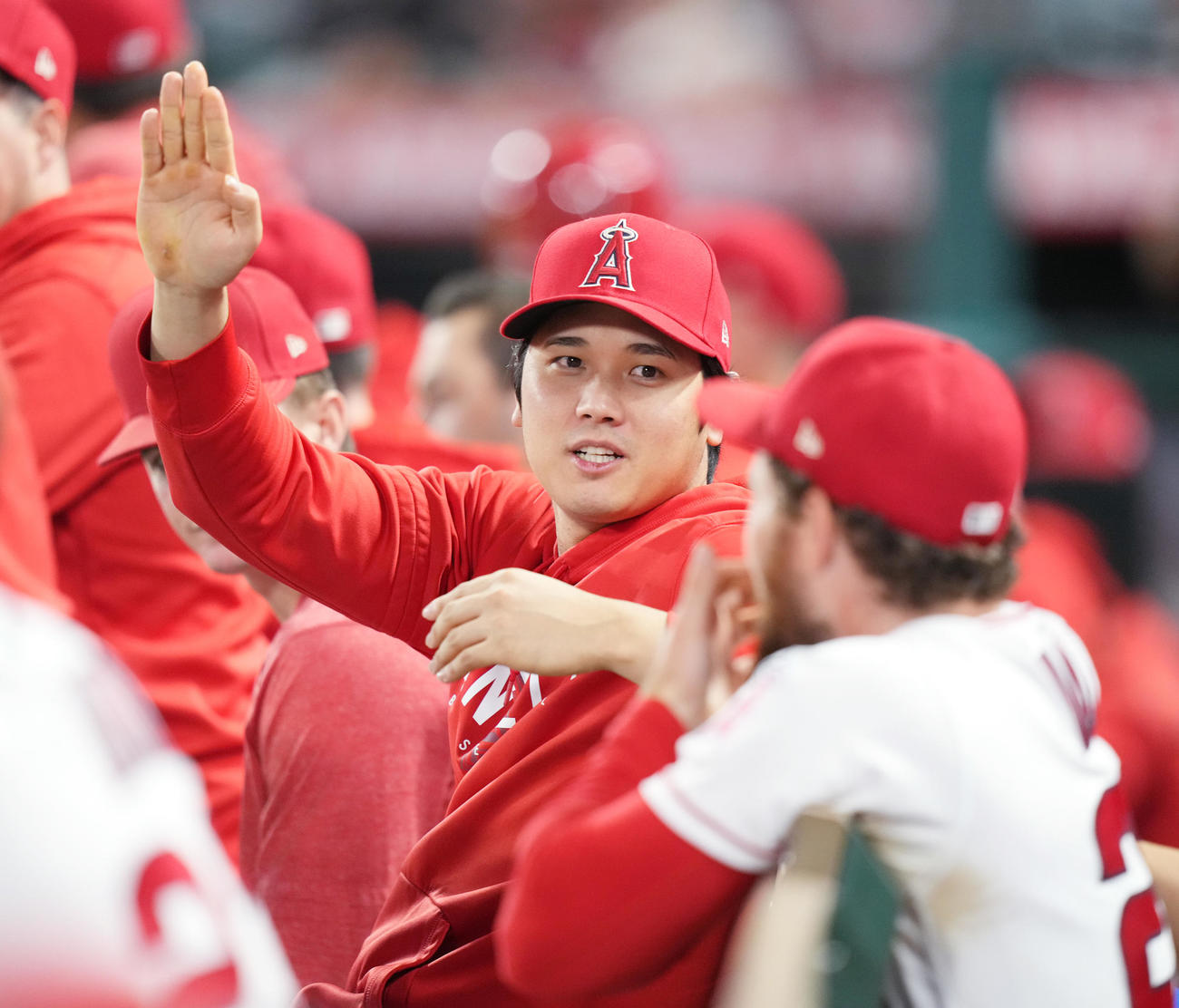 エンゼルス大谷翔平（2023年9月16日撮影）