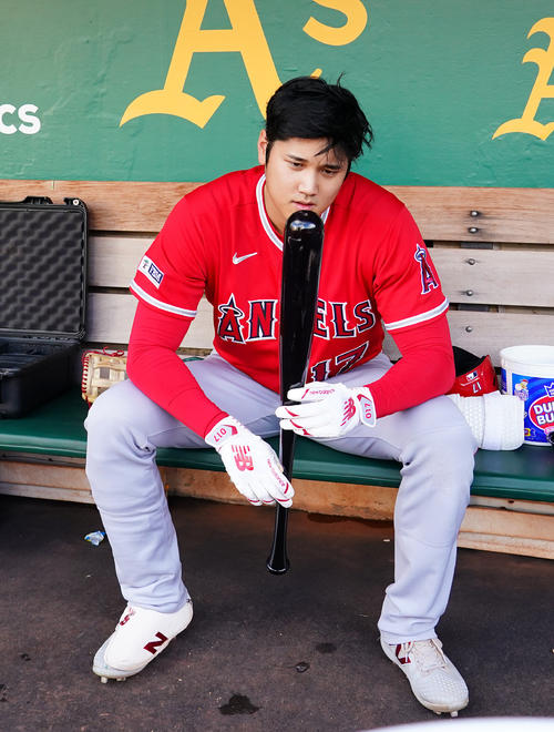 大谷翔平が使用「チャンドラー社」バット、来季NPBでも大流行へ アマ