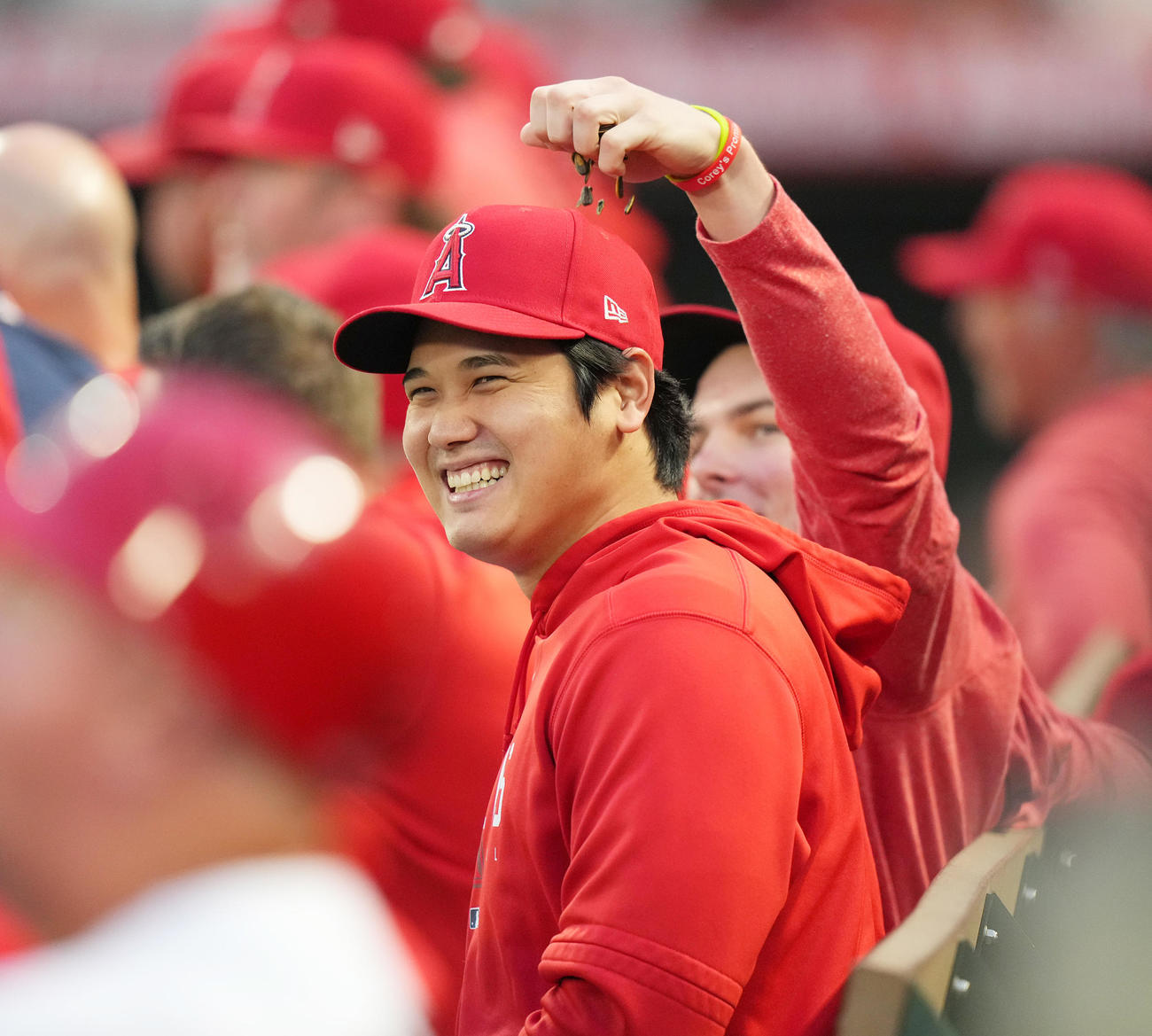 ひまわりの種をかけられる大谷翔平（2023年9月16日撮影）