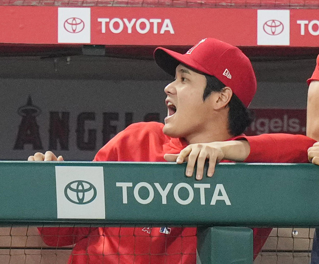 飛んできたファウルボールに叫ぶ大谷翔平（2023年9月16日撮影）