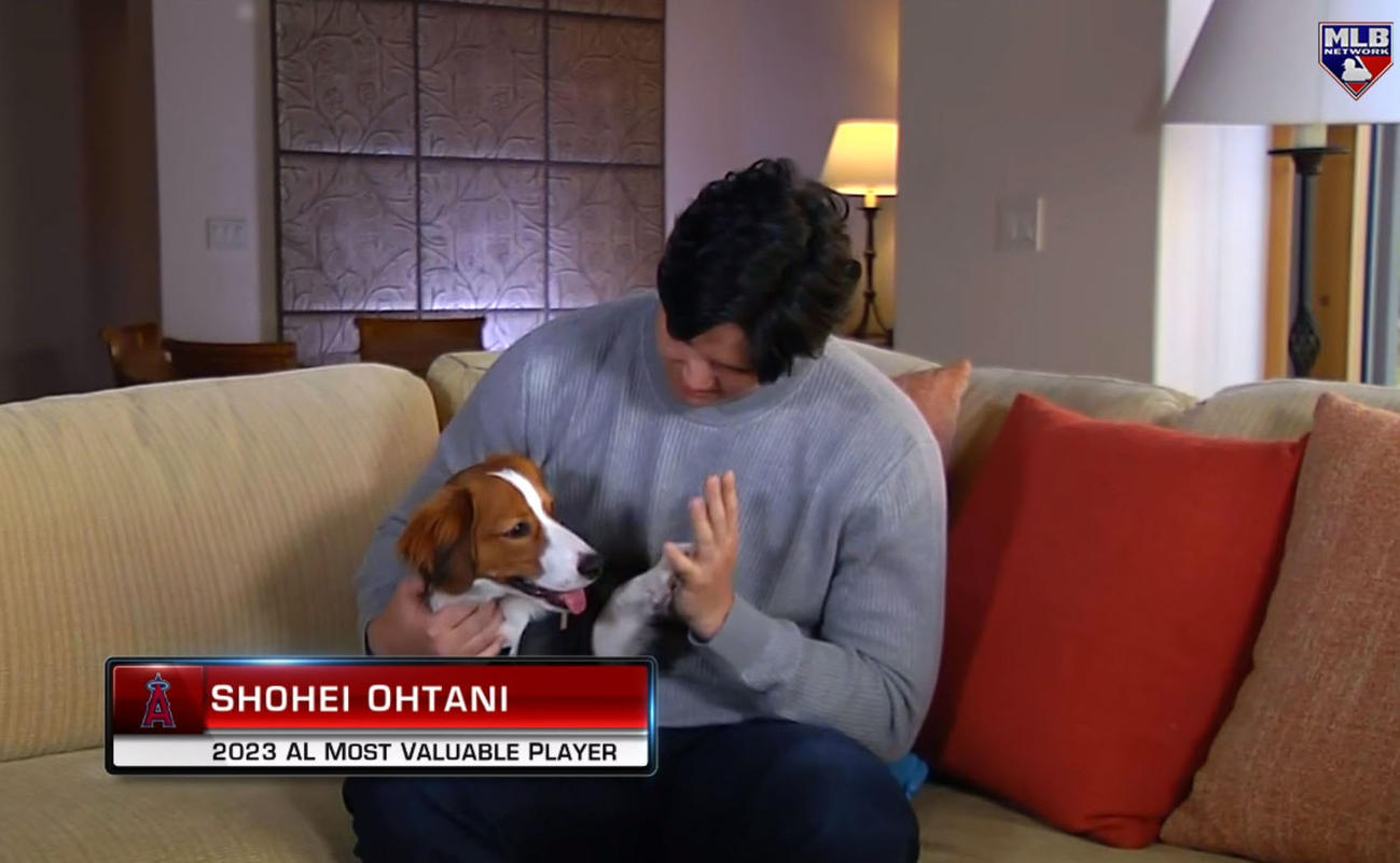 米大リーグ、ア・リーグのMVPに選ばれた大谷翔平。専門局MLBネットワークの番組で犬と「ハイタッチ」した（共同）