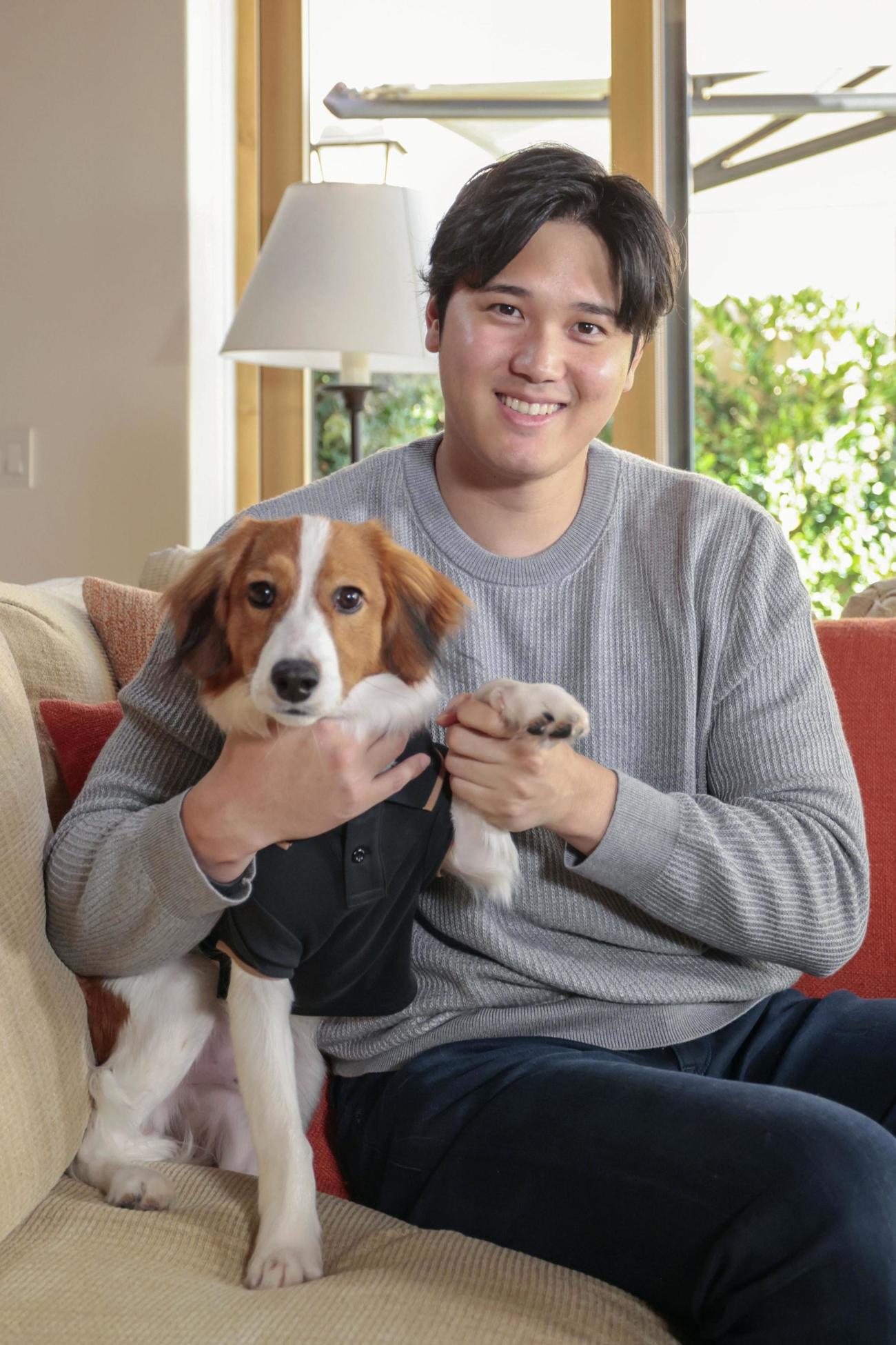 犬と一緒に撮影に応じる大谷翔平。大谷はドジャースの入団記者会見で名前を「デコピン」と明かした＝11月16日（ゲッティ＝共同）