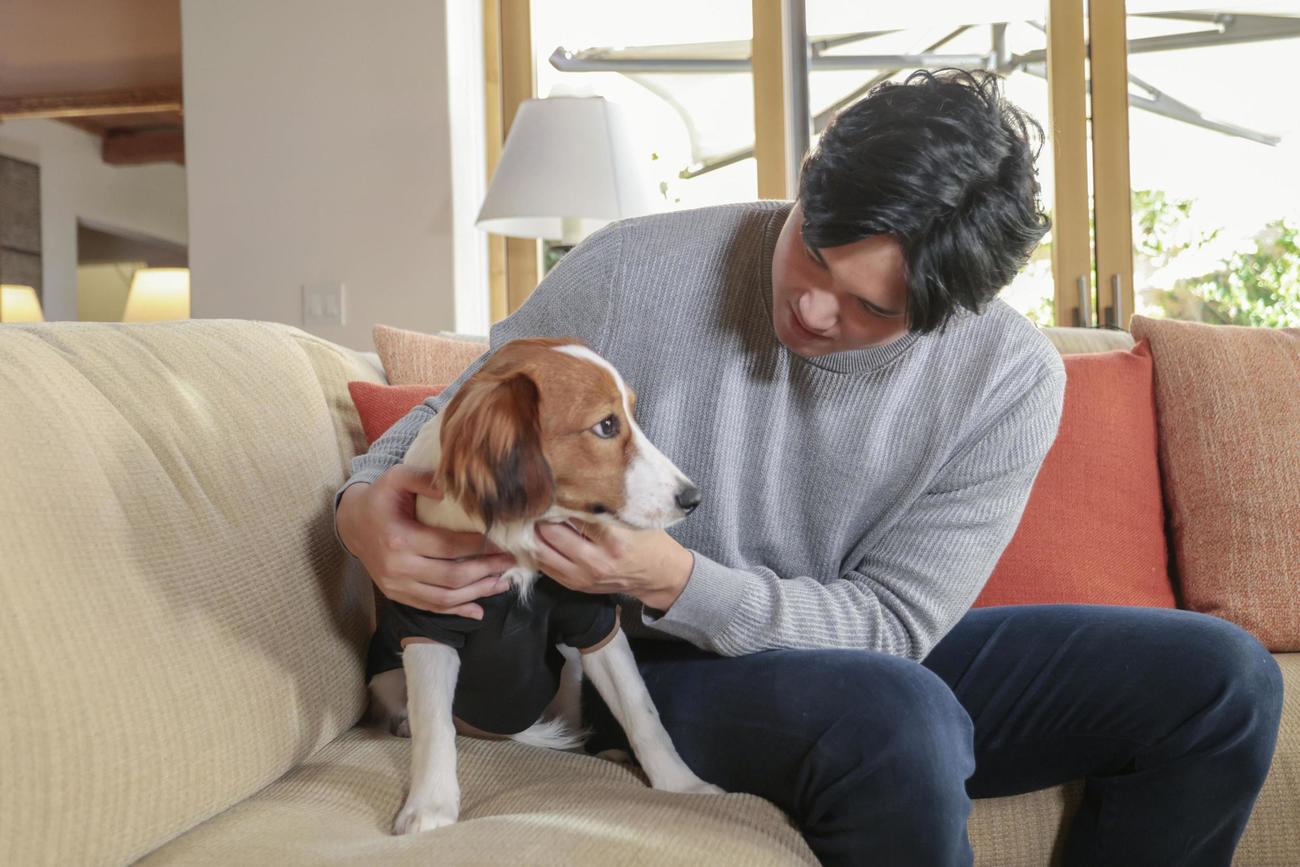 犬と一緒に撮影に応じる大谷翔平。大谷はドジャースの入団記者会見で名前を「デコピン」と明かした＝11月16日（ゲッティ＝共同）