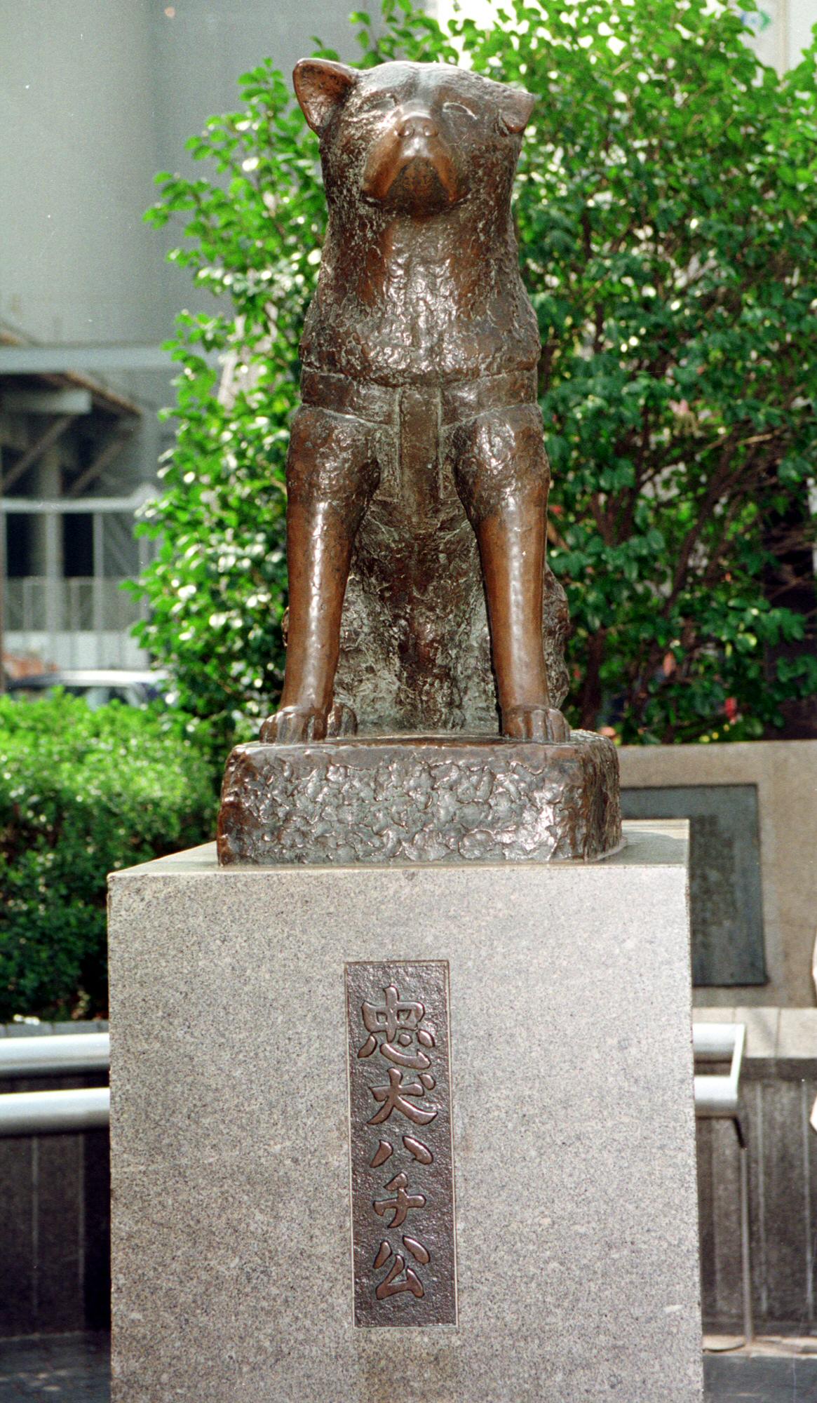 忠犬ハチ公(1998年3月撮影)