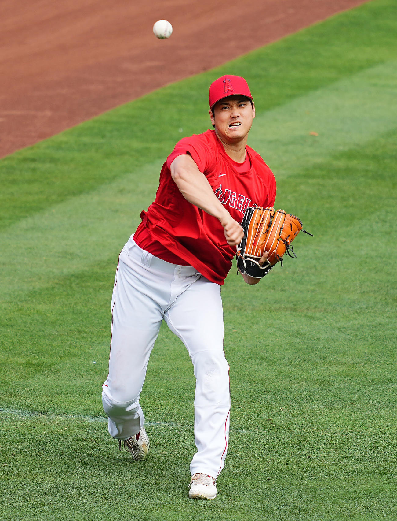 大谷翔平（2023年8月8日撮影）