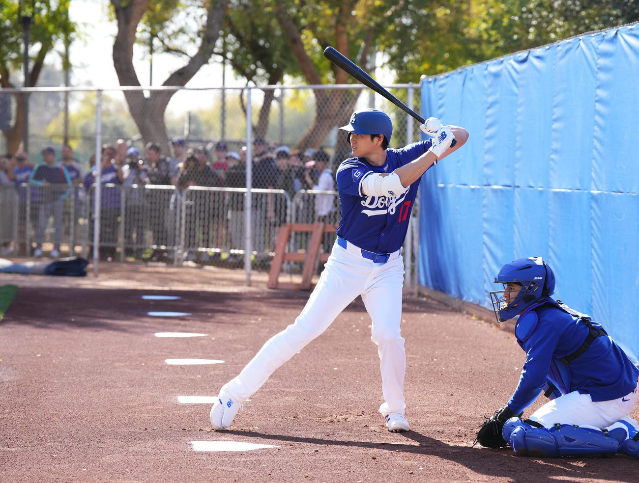 ブルペンの打席に入り構えるドジャース大谷（撮影・菅敏）