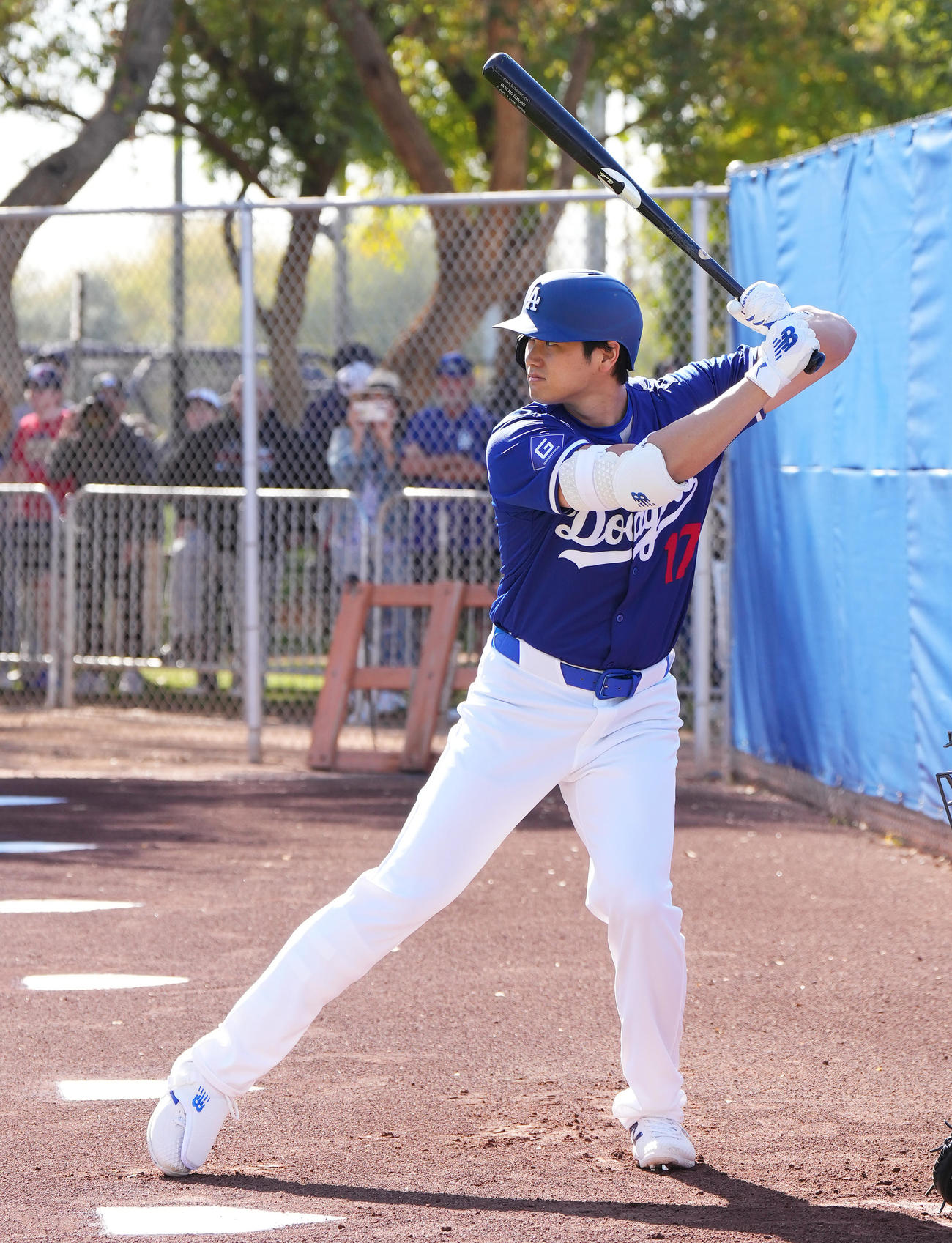 ブルペンの打席に入り構えるドジャース大谷（撮影・菅敏）
