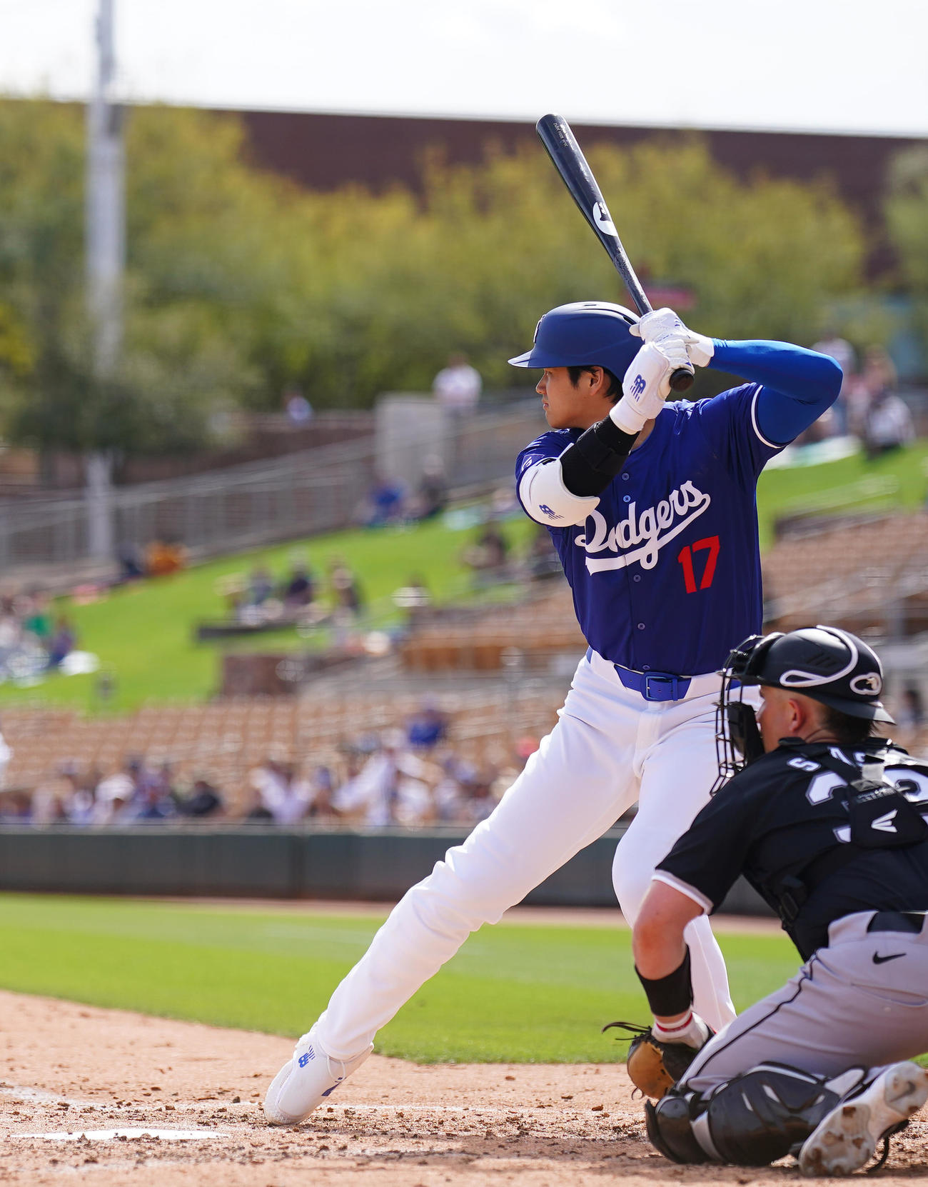 ドジャース対ホワイトソックス　打席で構えるドジャース大谷（撮影・菅敏）