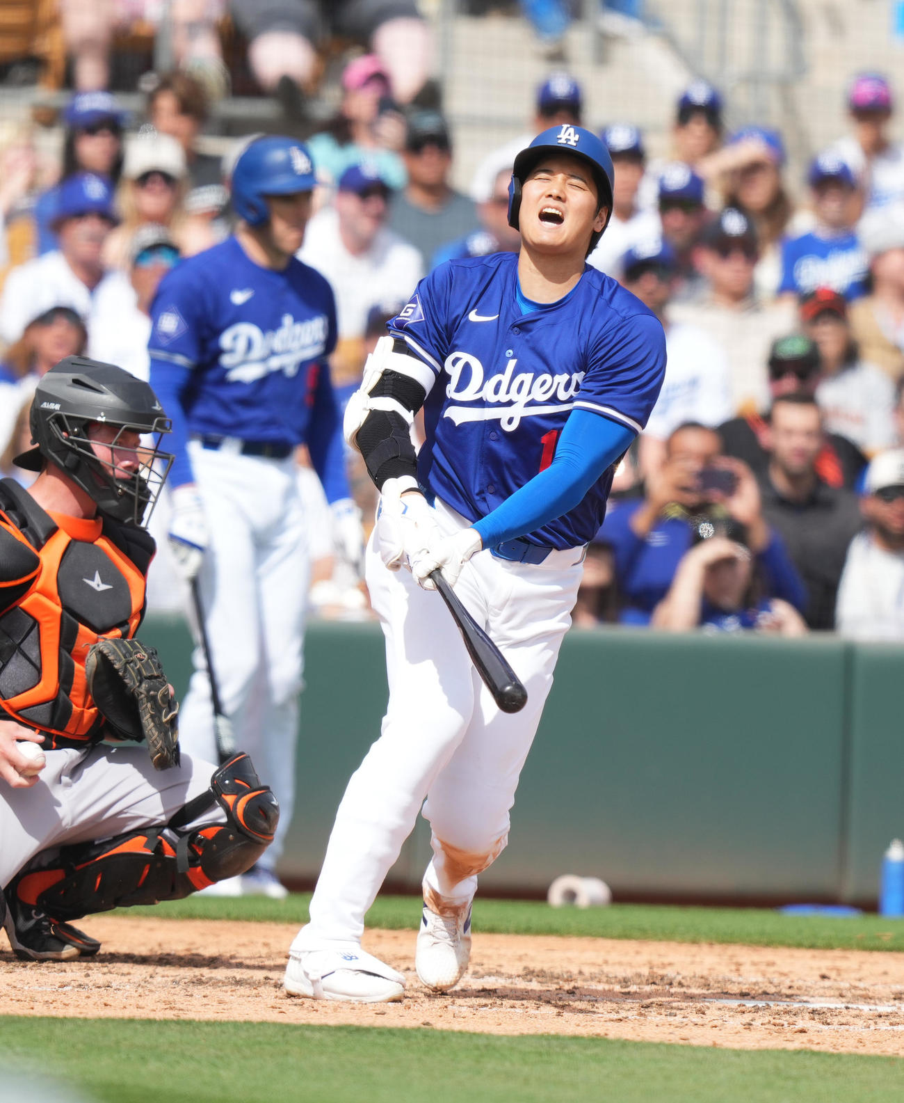 ドジャース対ジャイアンツ　5回裏ドジャース1死一塁、空振りの三振に倒れる大谷（撮影・菅敏）